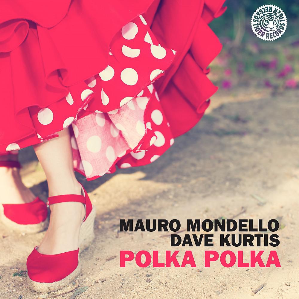 Постер альбома Polka Polka