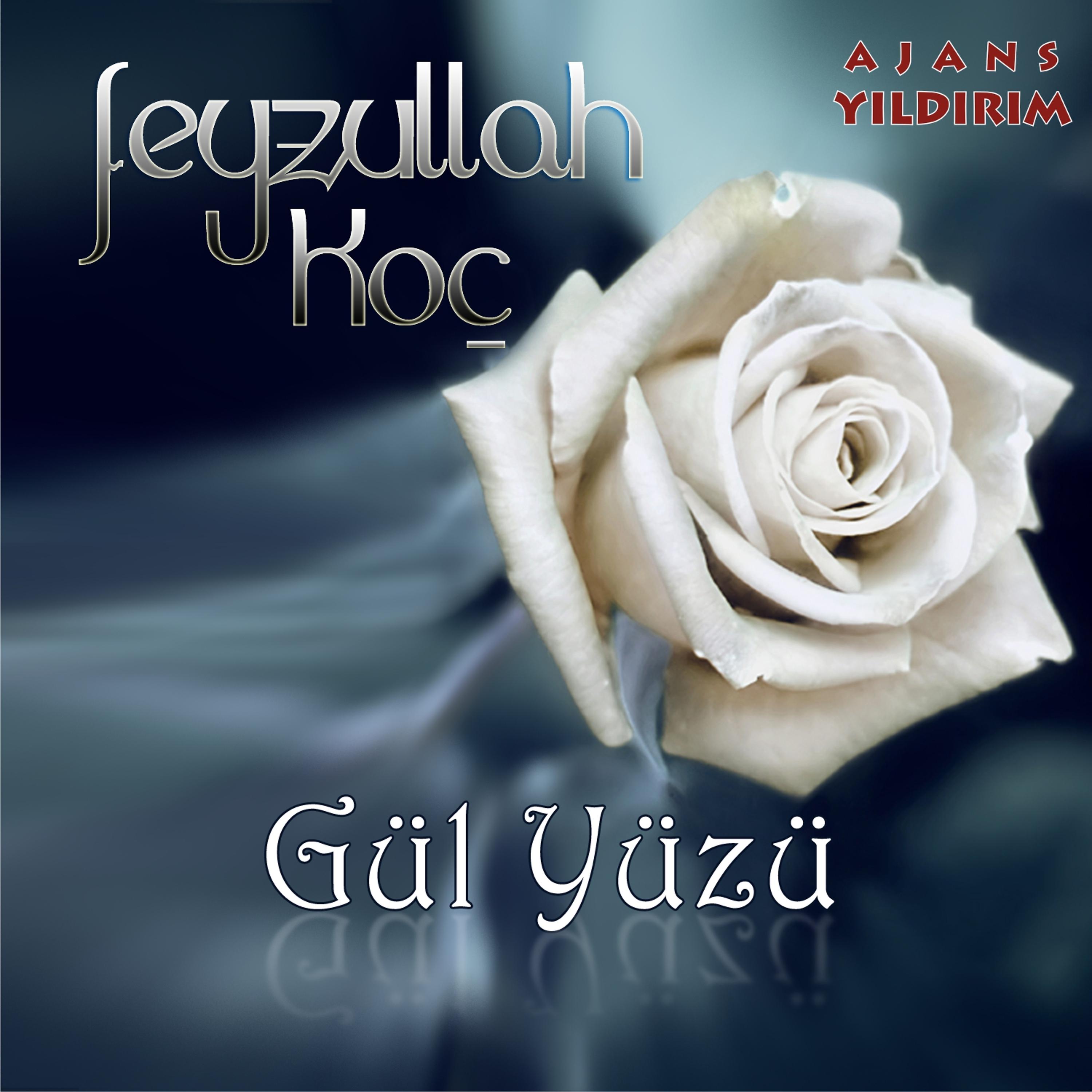 Постер альбома Gül Yüzü