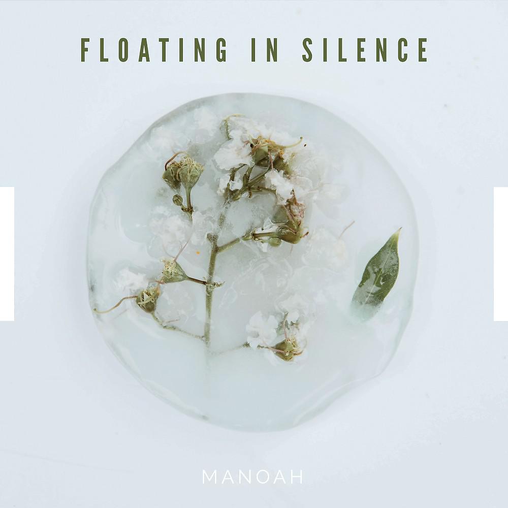 Постер альбома Floating in Silence