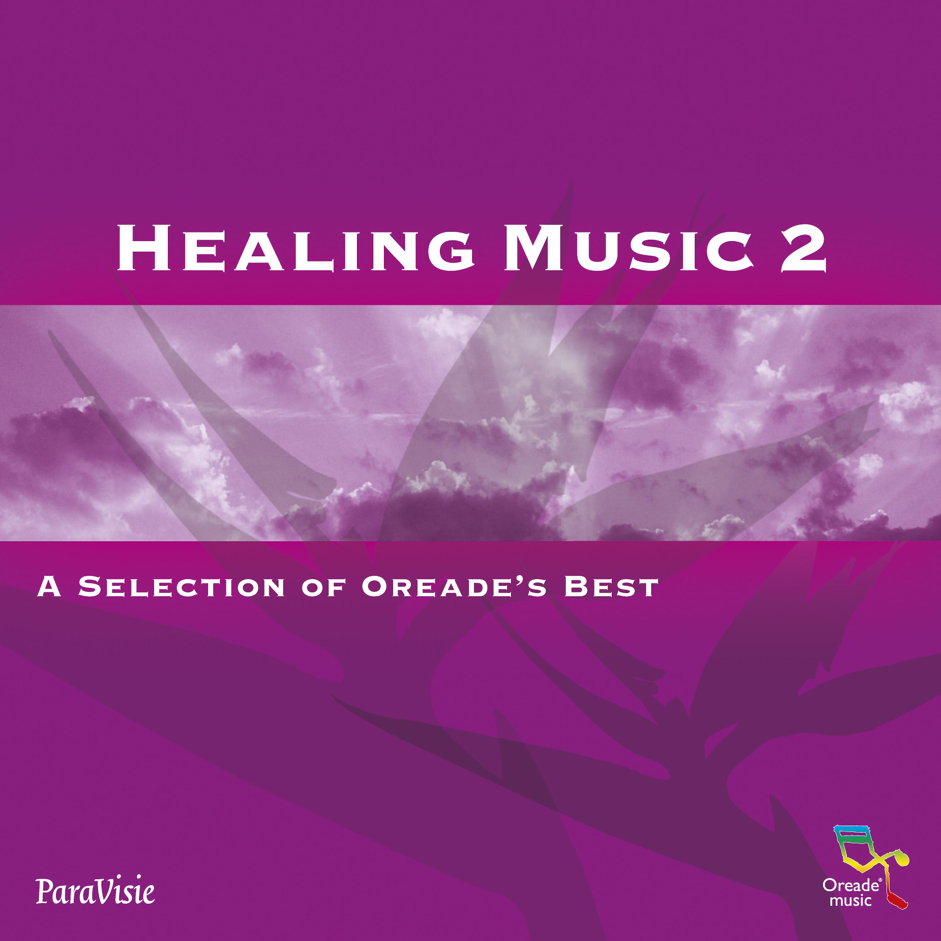 Постер альбома Healing Music 2