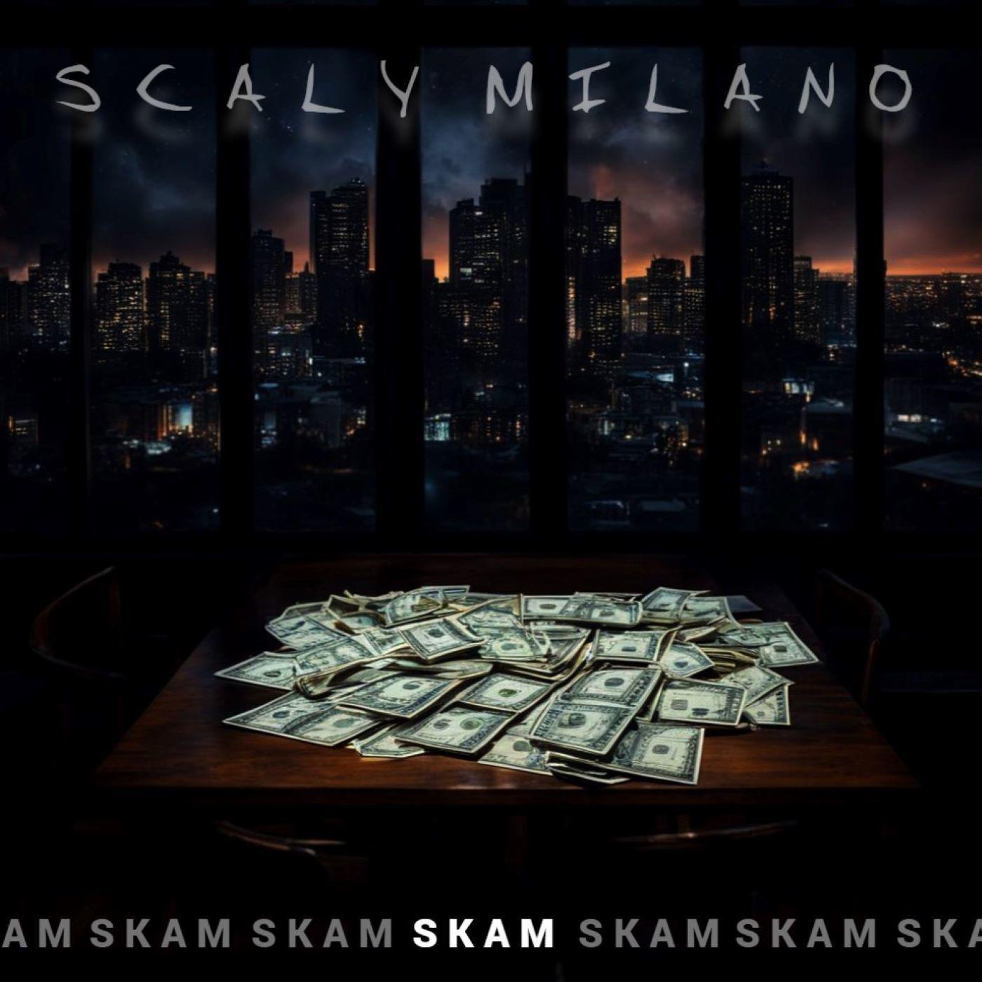 Постер альбома Skam