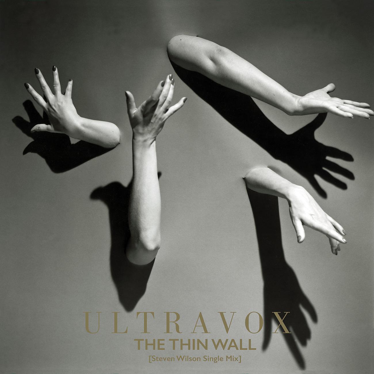 Постер альбома The Thin Wall (Steven Wilson Single Mix)