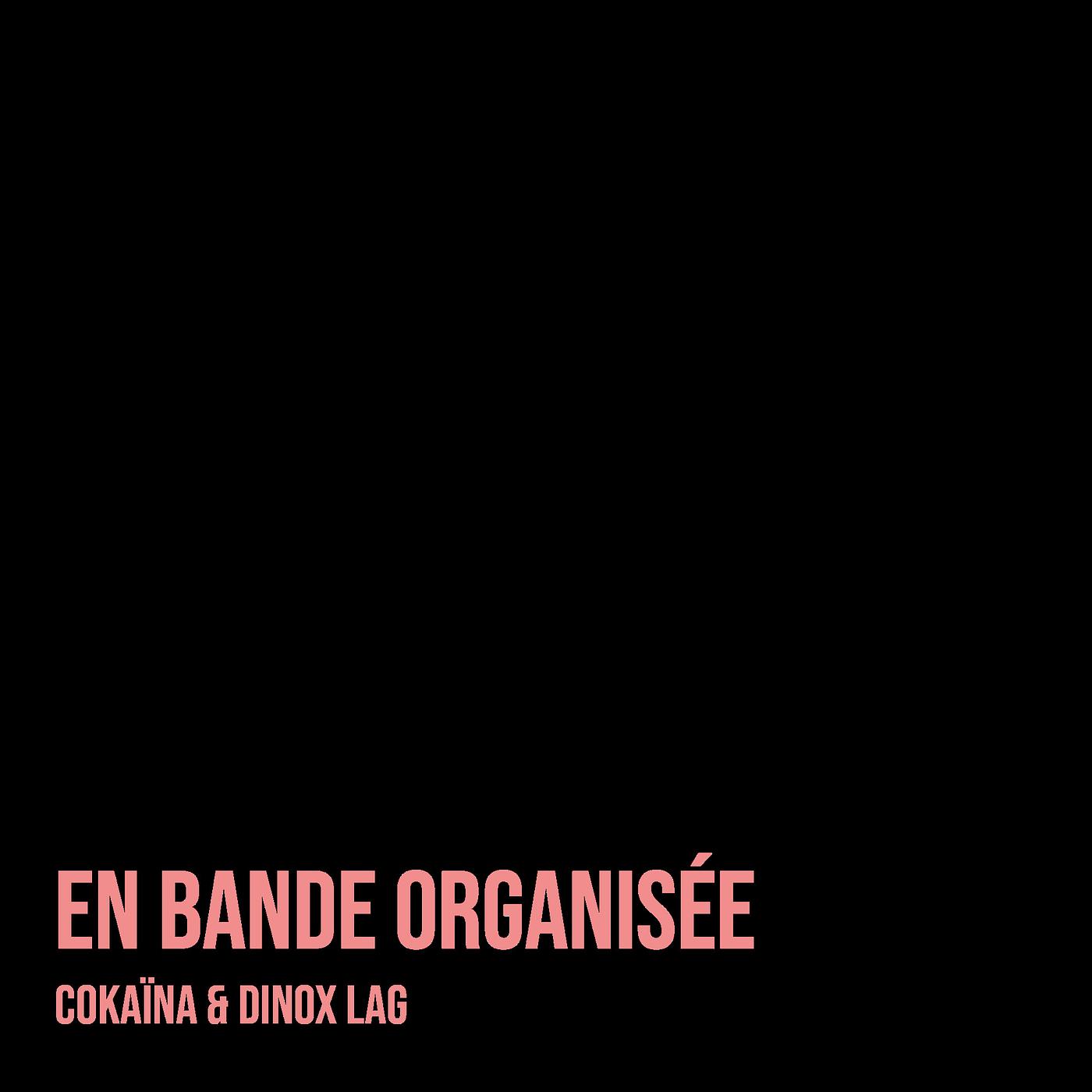 Постер альбома En bande organisée