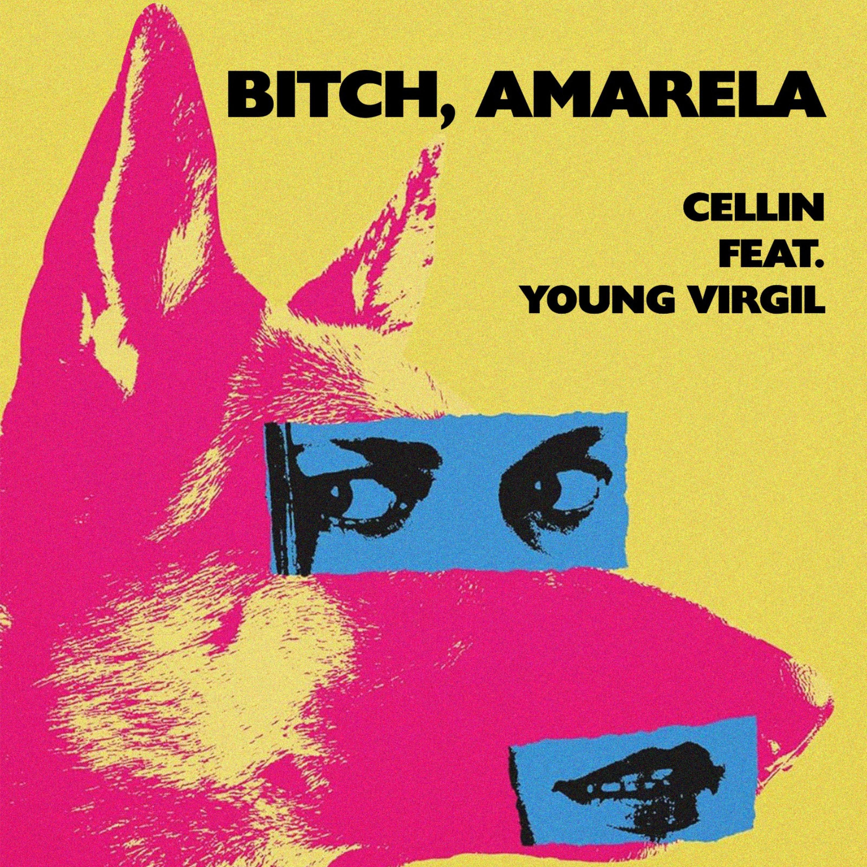 Постер альбома Bitch, Amarela