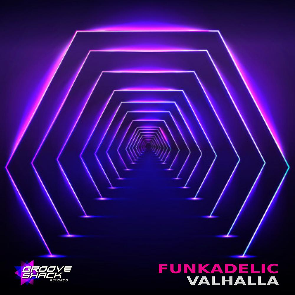Постер альбома Funkadelic