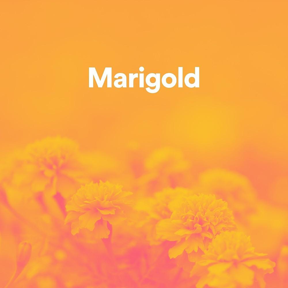 Постер альбома Marigold