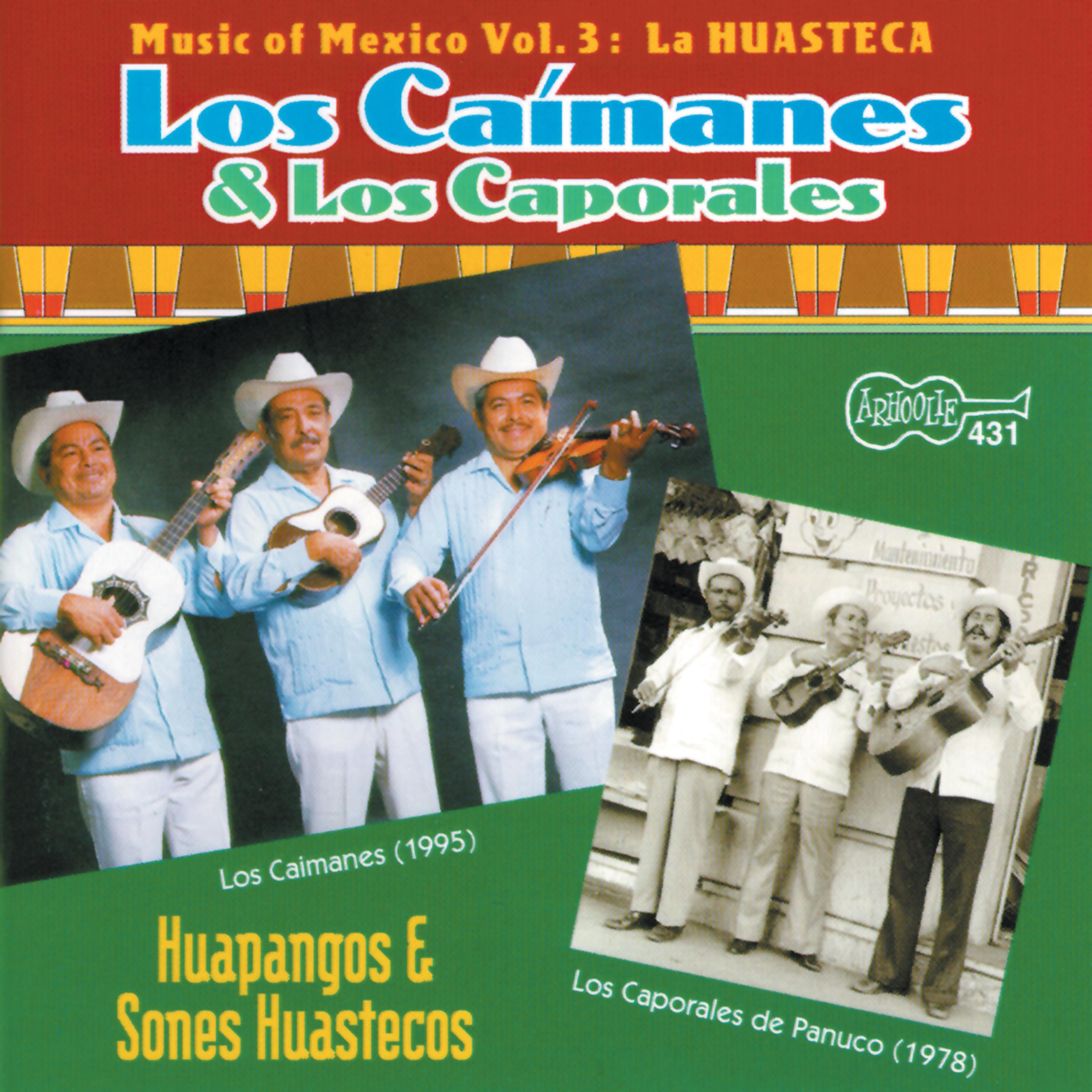 Постер альбома Music of Mexico, Vol. 3: La Huasteca: Huapangos Y Sones Huastecos