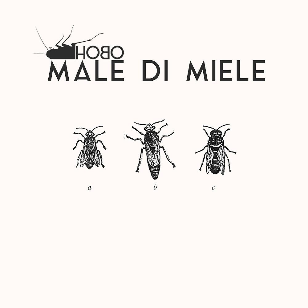 Постер альбома Male di miele