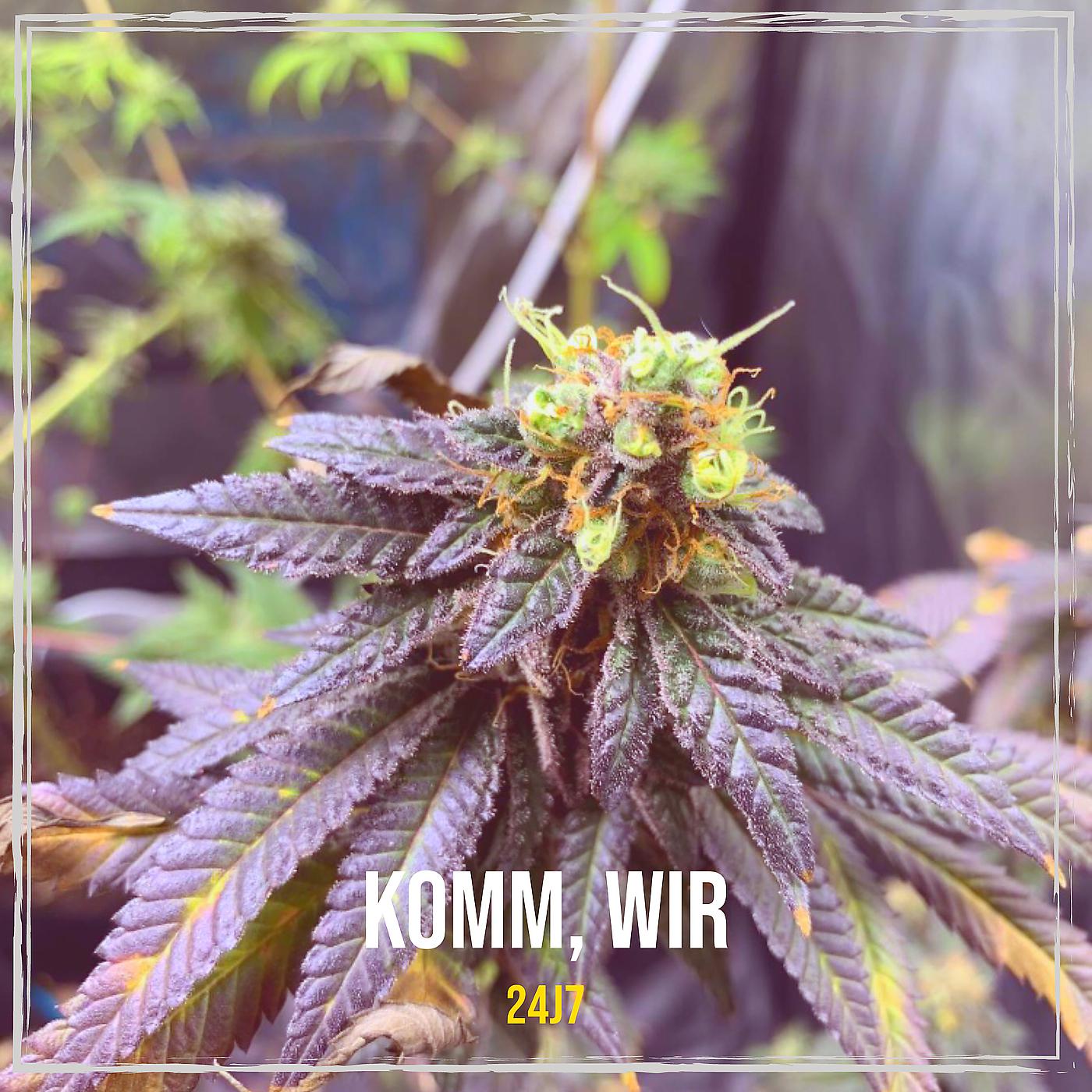 Постер альбома Komm, Wir