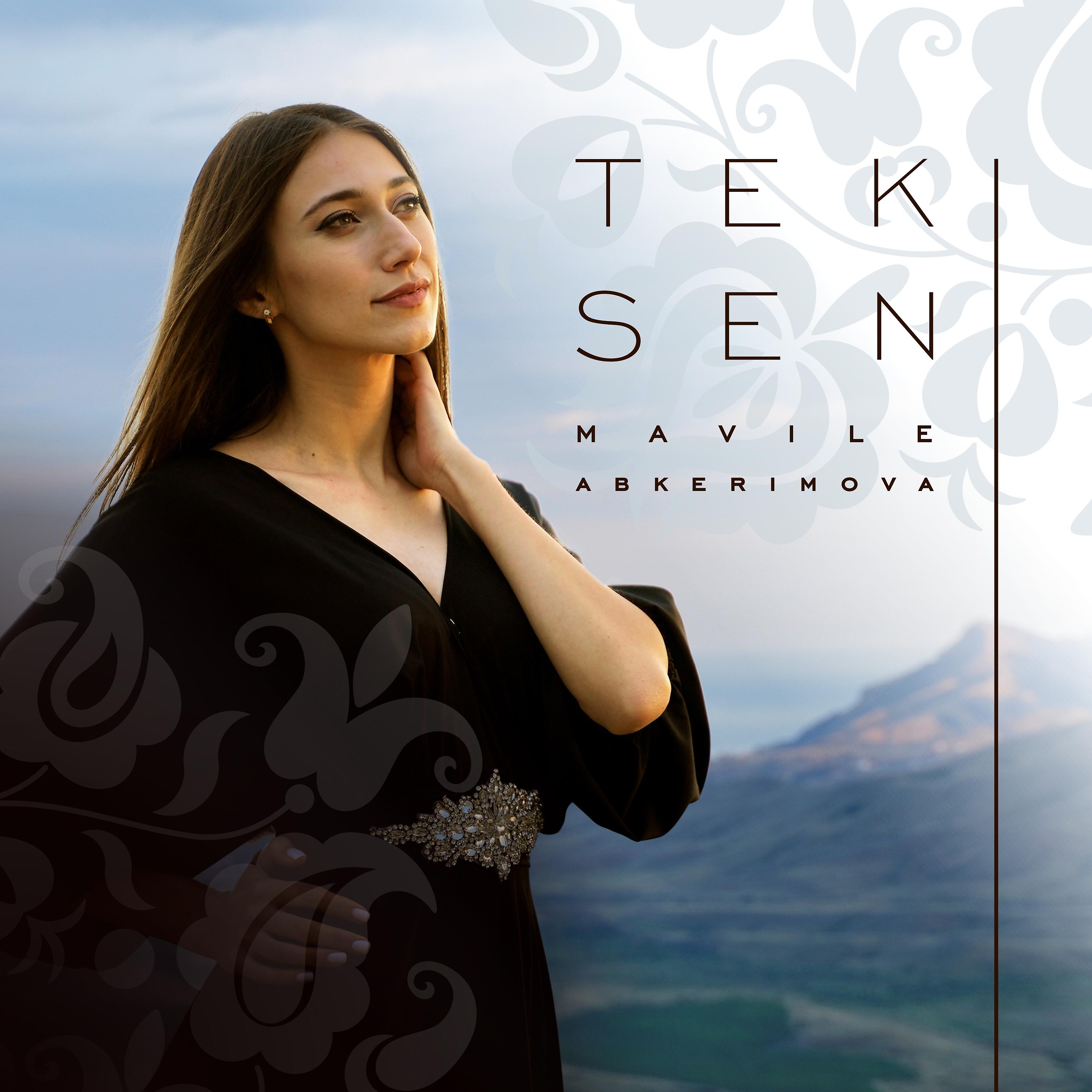Постер альбома Tek Sen