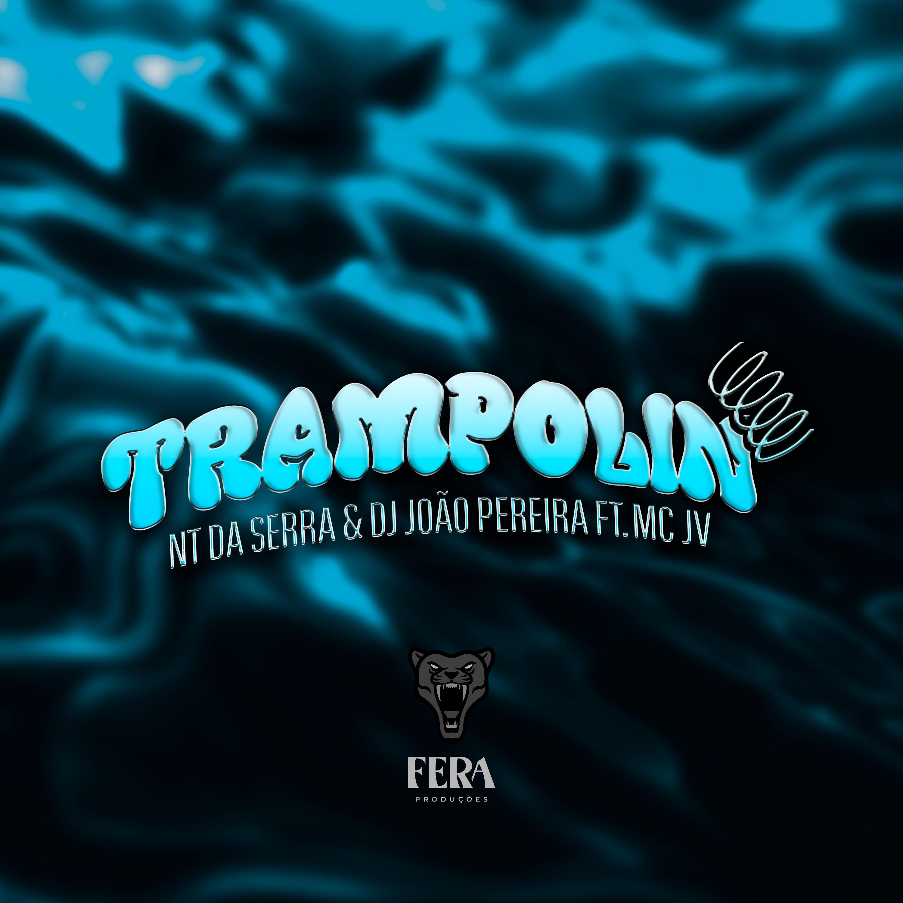 Постер альбома Trampolin