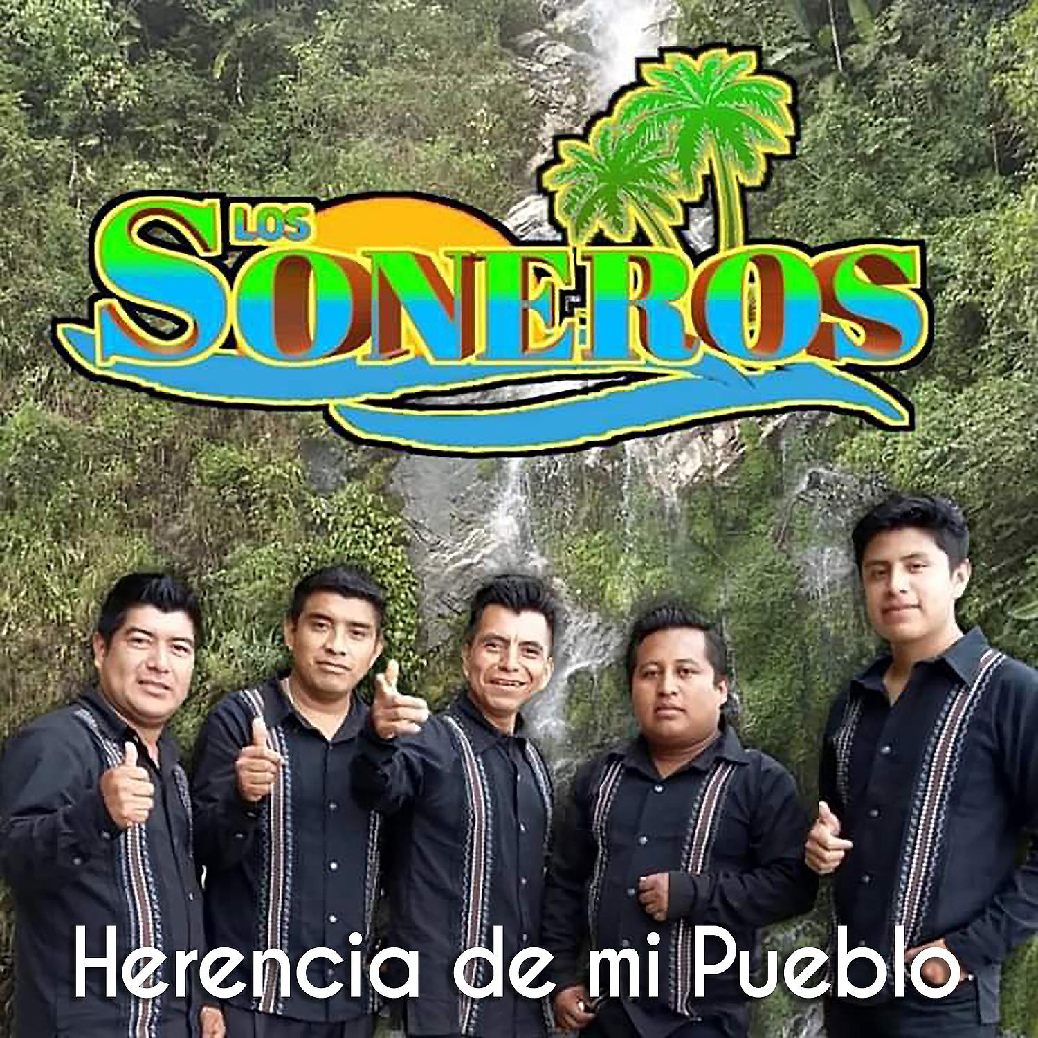 Постер альбома Herencia de Mi Pueblo