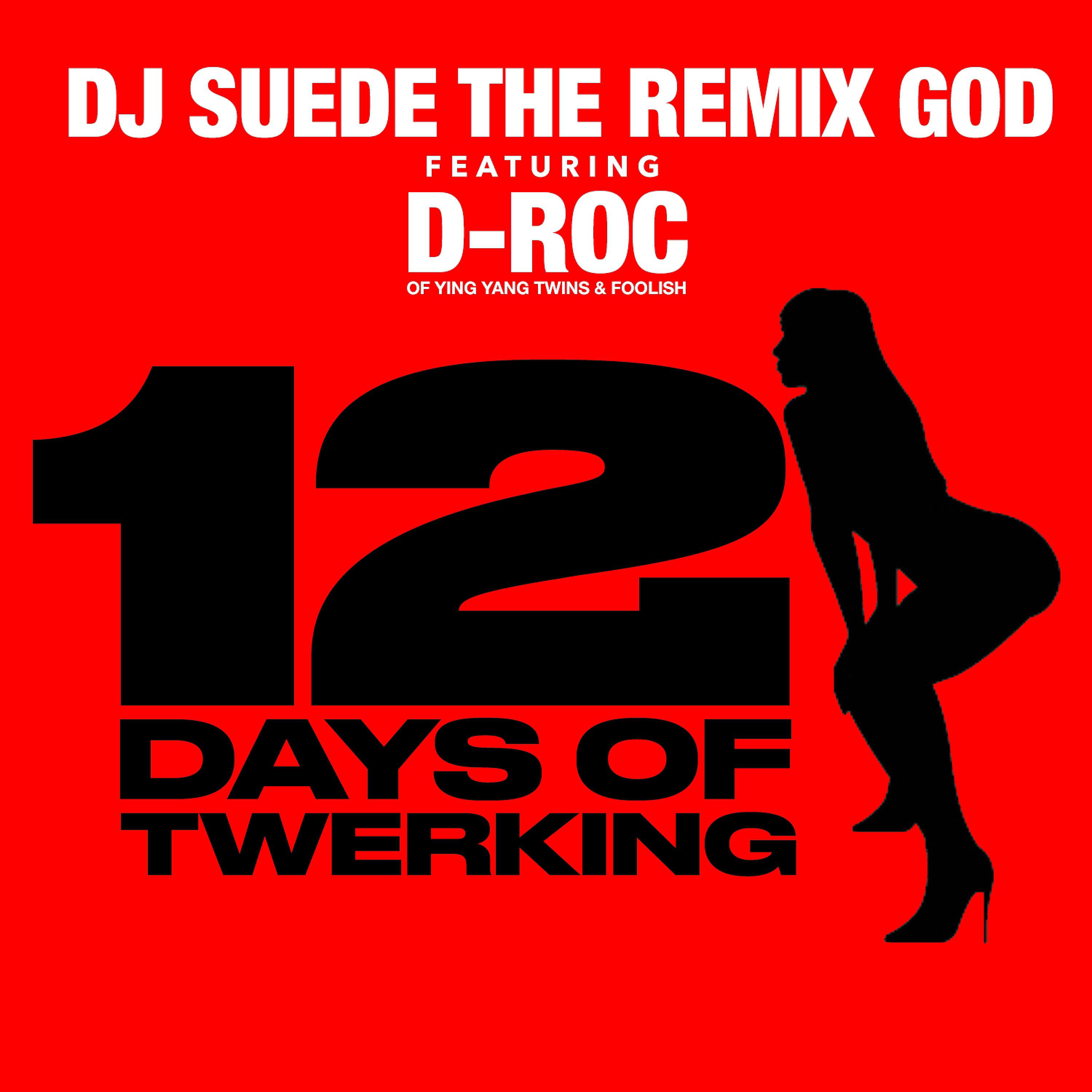 Постер альбома 12 Days of Twerking (feat. D-Roc)