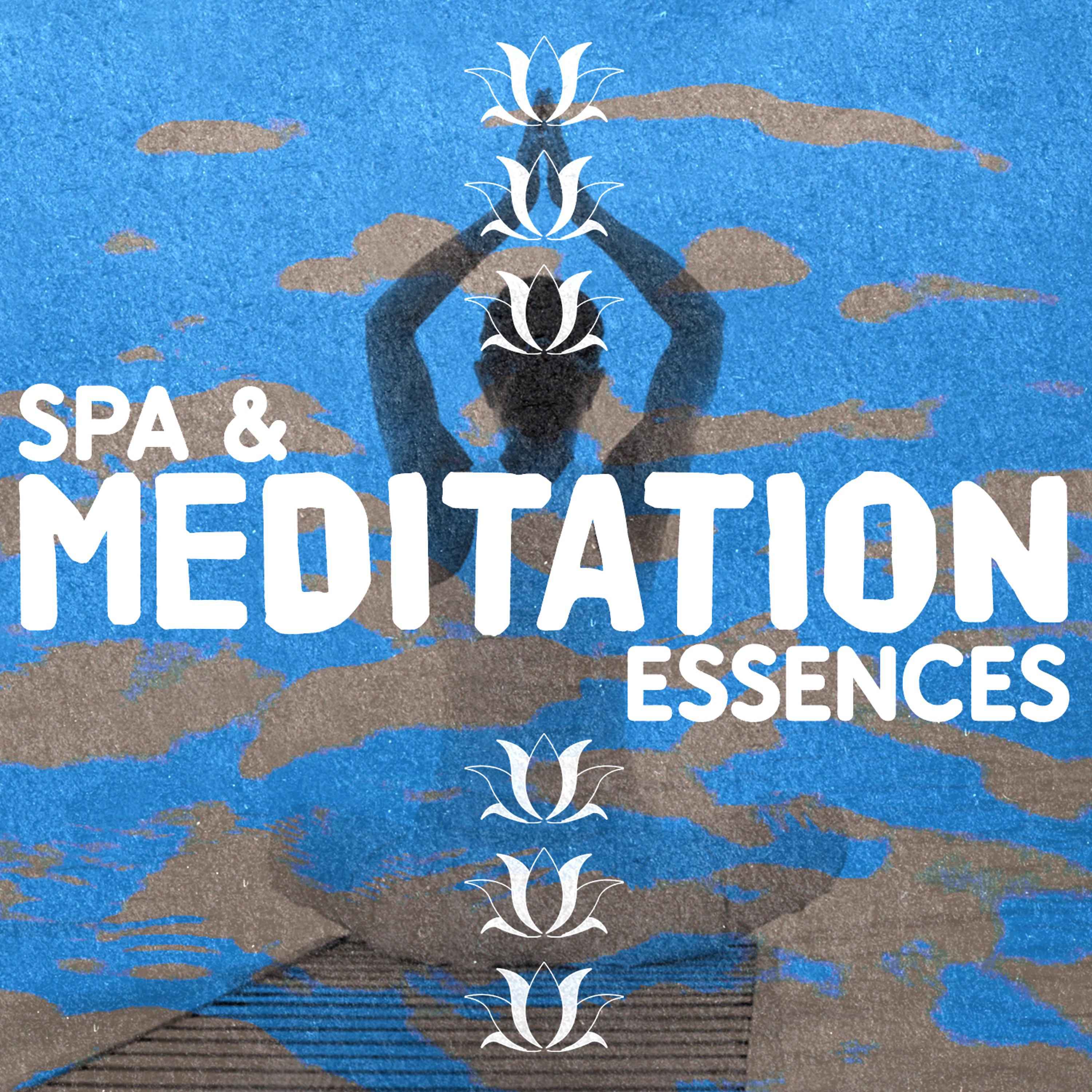 Постер альбома Spa & Meditation Essences