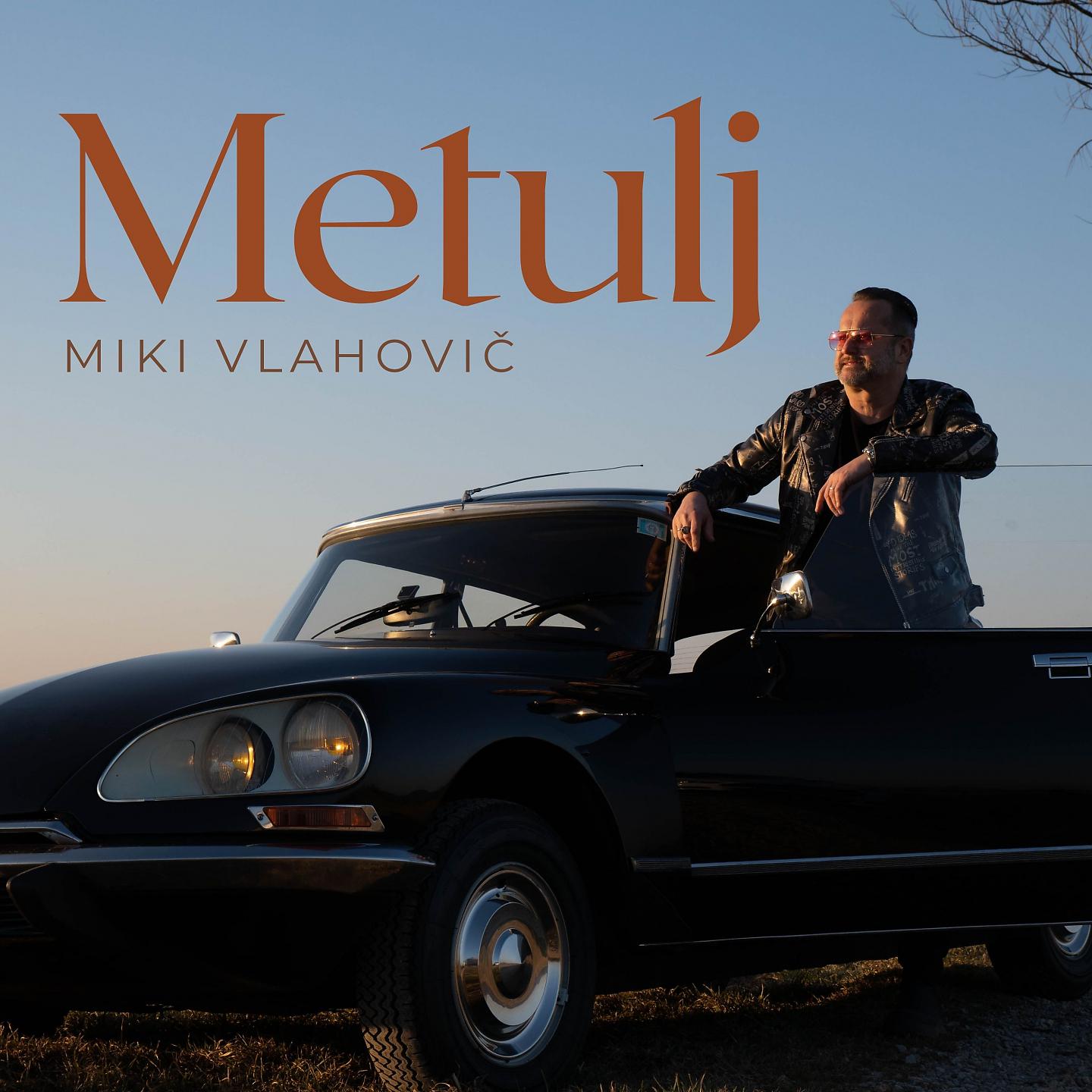 Постер альбома Metulj