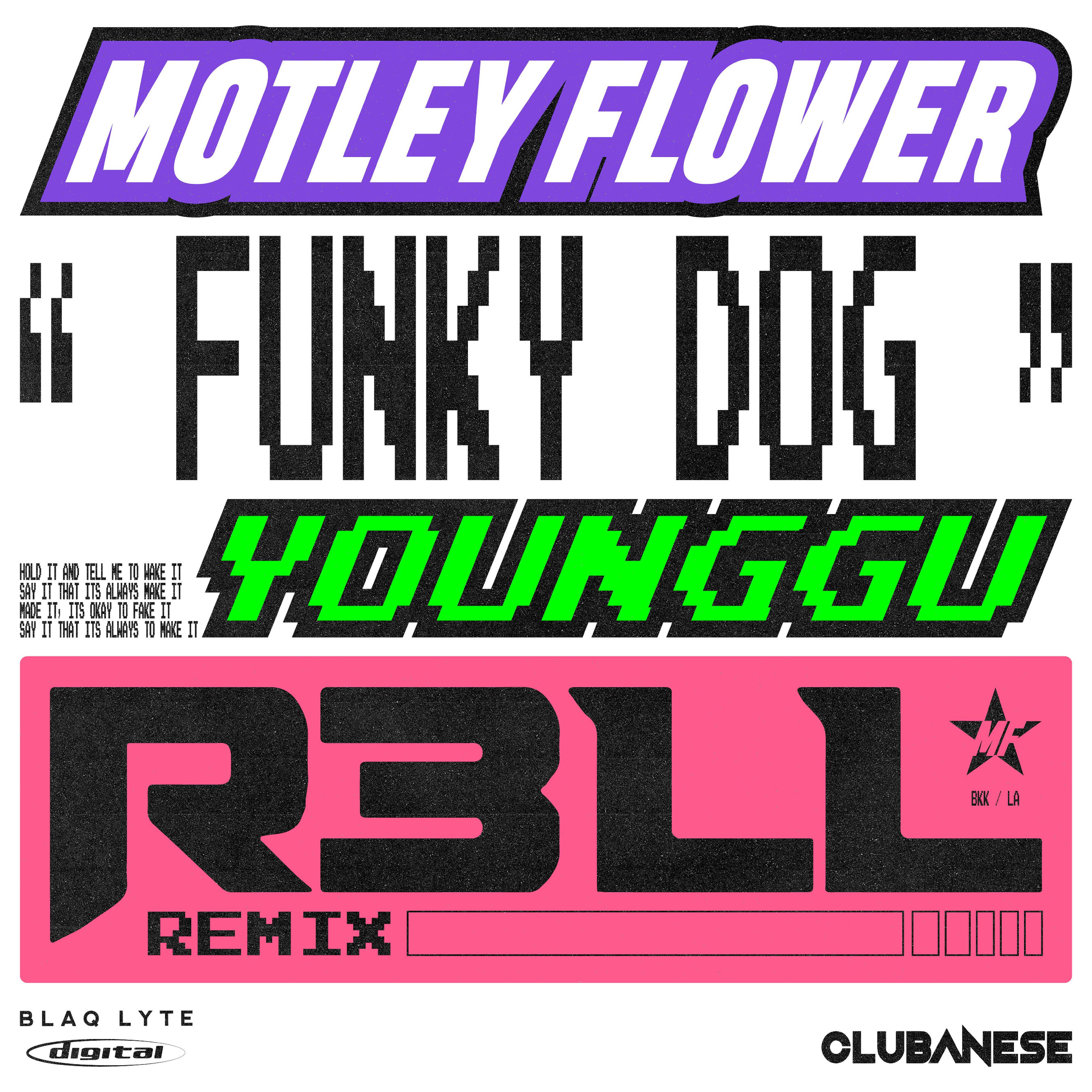 Постер альбома FUNKY DOG (R3LL Remix)