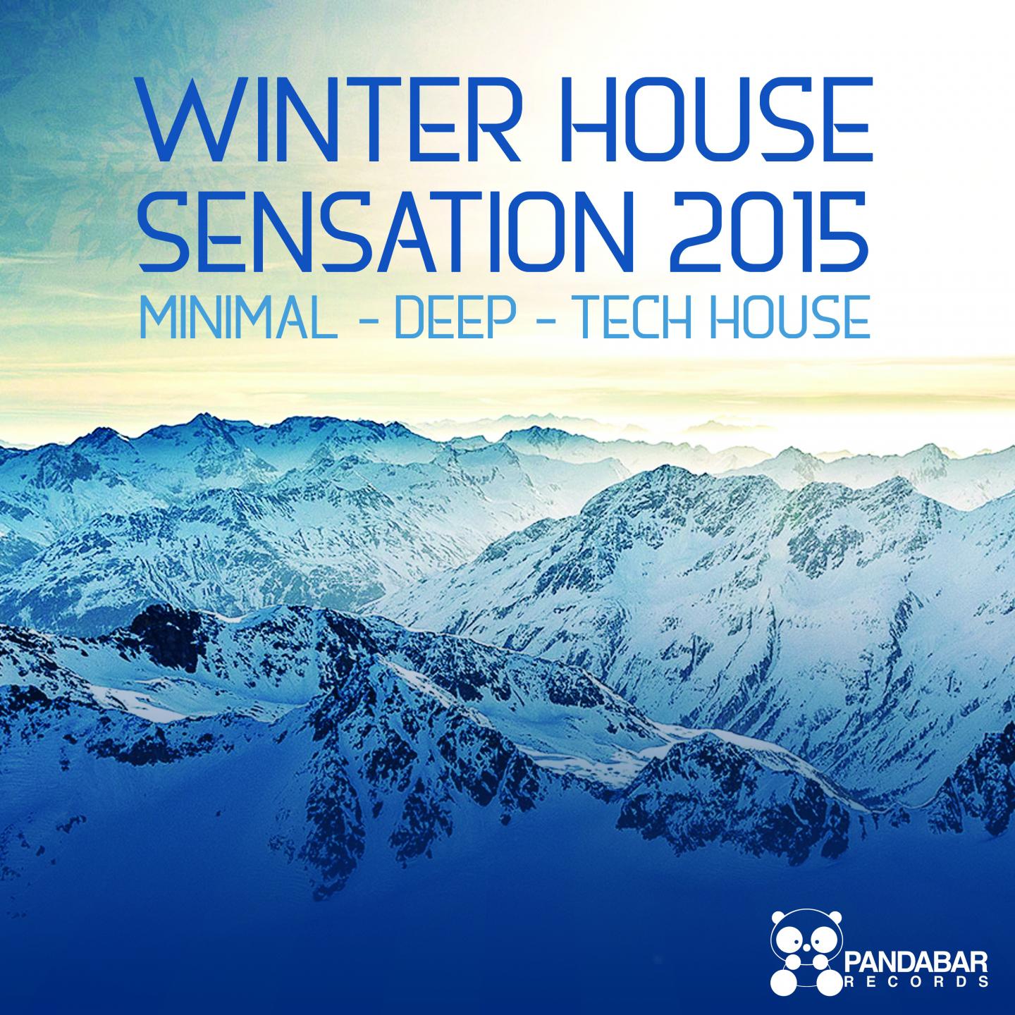 Постер альбома Winter House Sensation 2015
