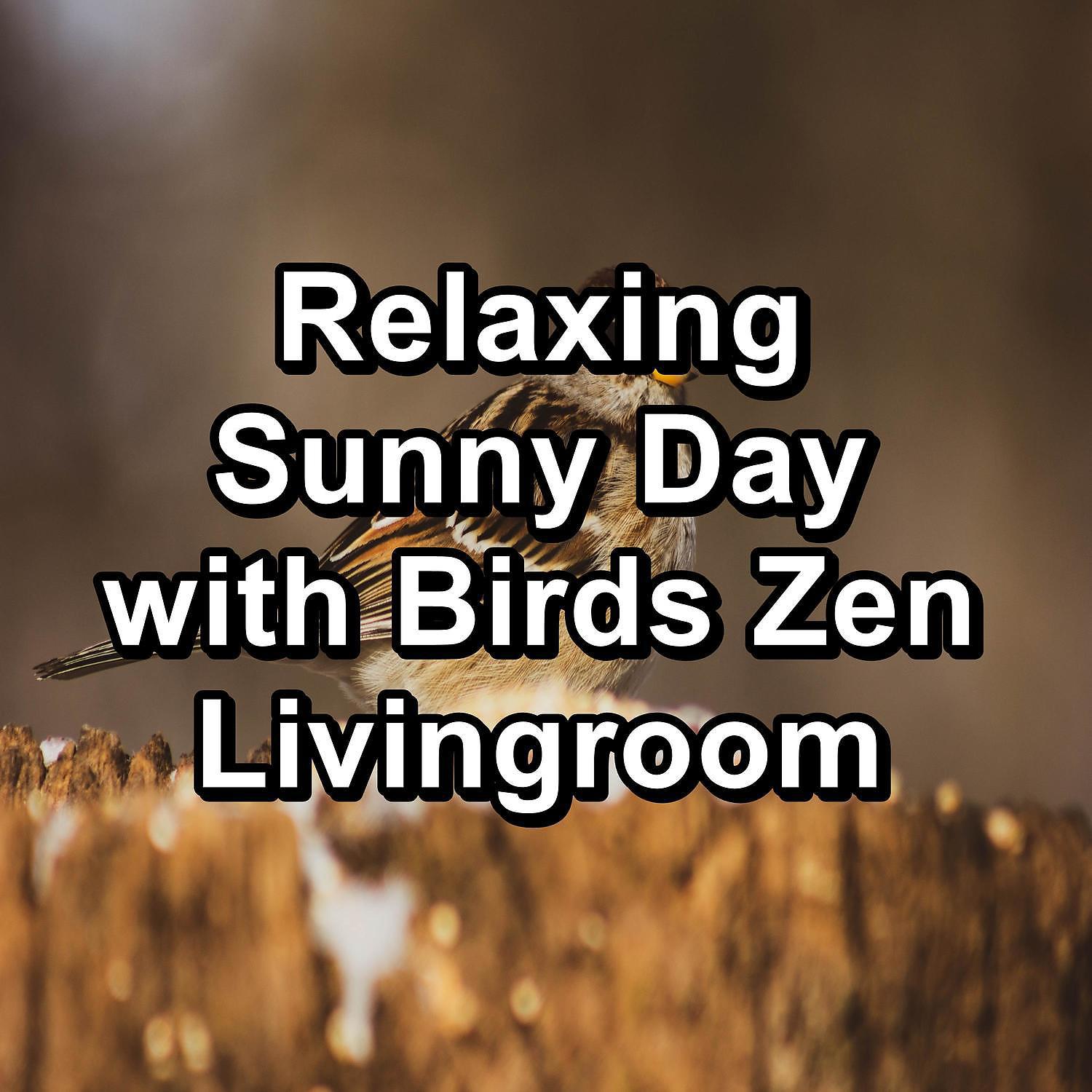 Постер альбома Relaxing Sunny Day with Birds Zen Livingroom