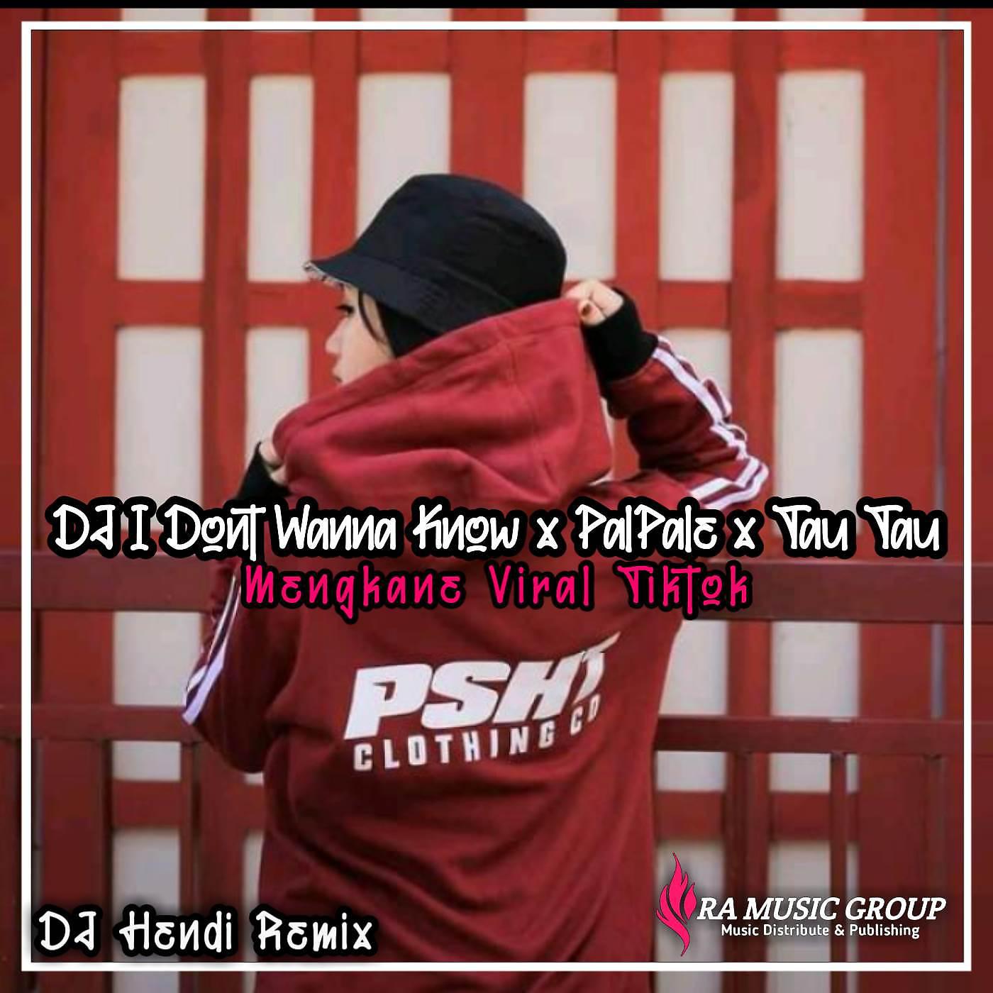 Постер альбома DJ I Don't Wanna Know x Palpale x Tau Tau