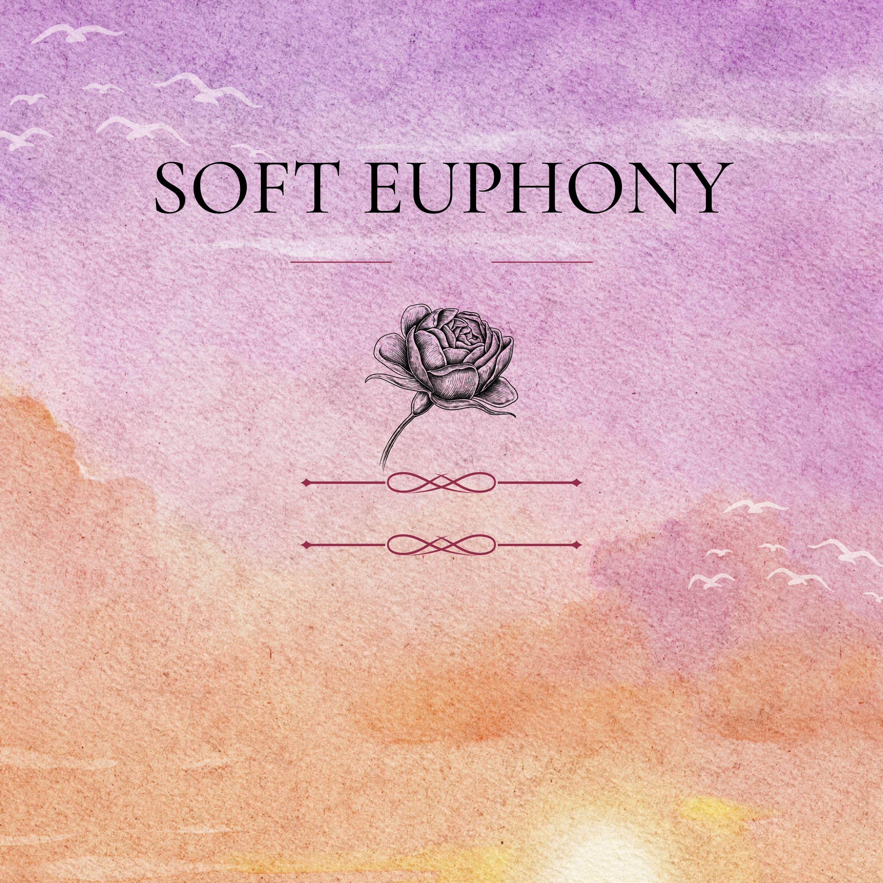 Постер альбома Soft Euphony