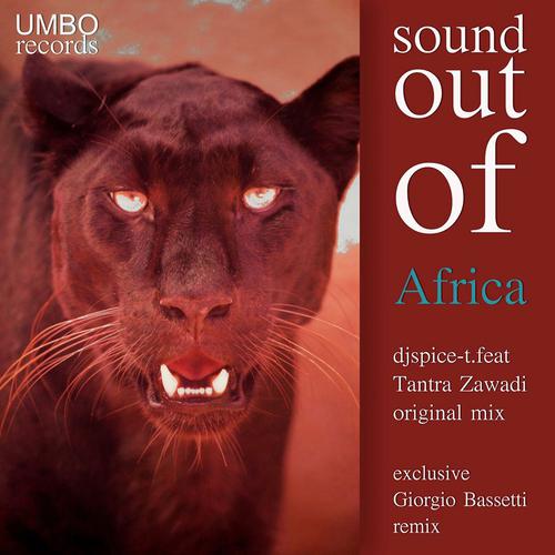 Постер альбома Sound Out of Africa