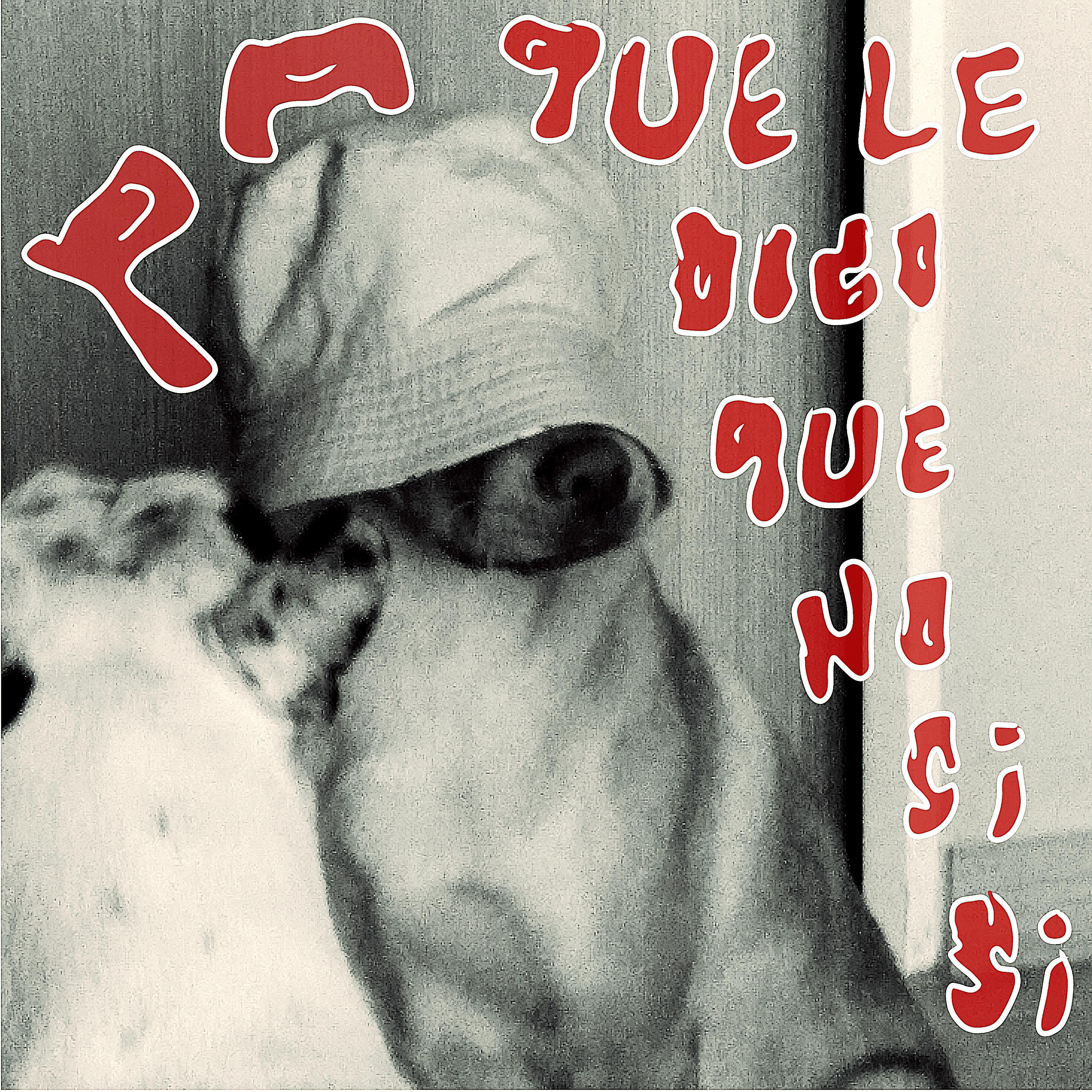 Постер альбома Pa Que Le Digo Que No Si Si