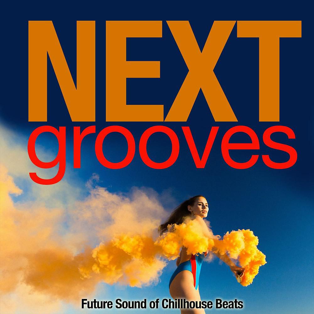 Постер альбома Next Groove (Future Sound of Chillhouse Beats)