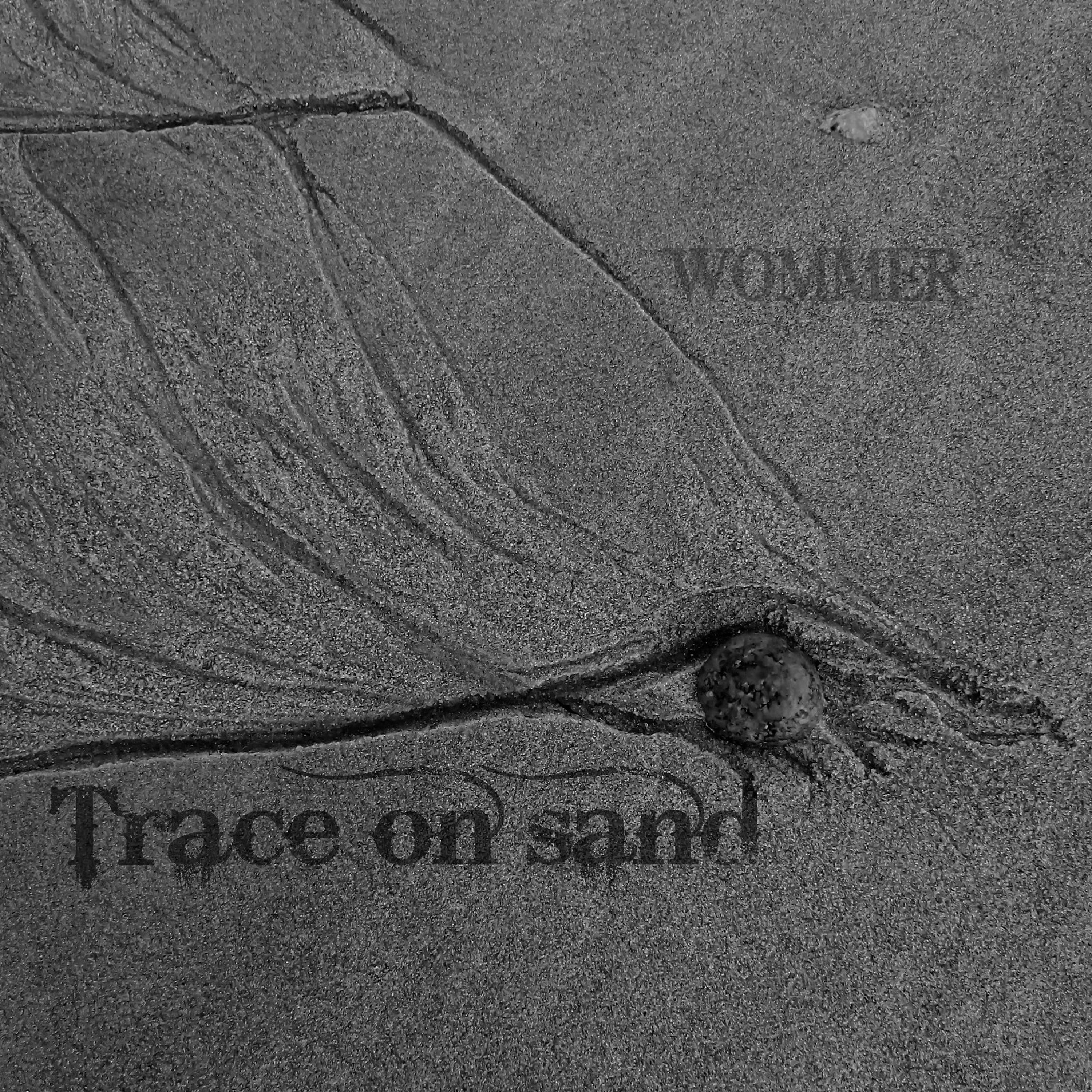 Постер альбома Trace on Sand