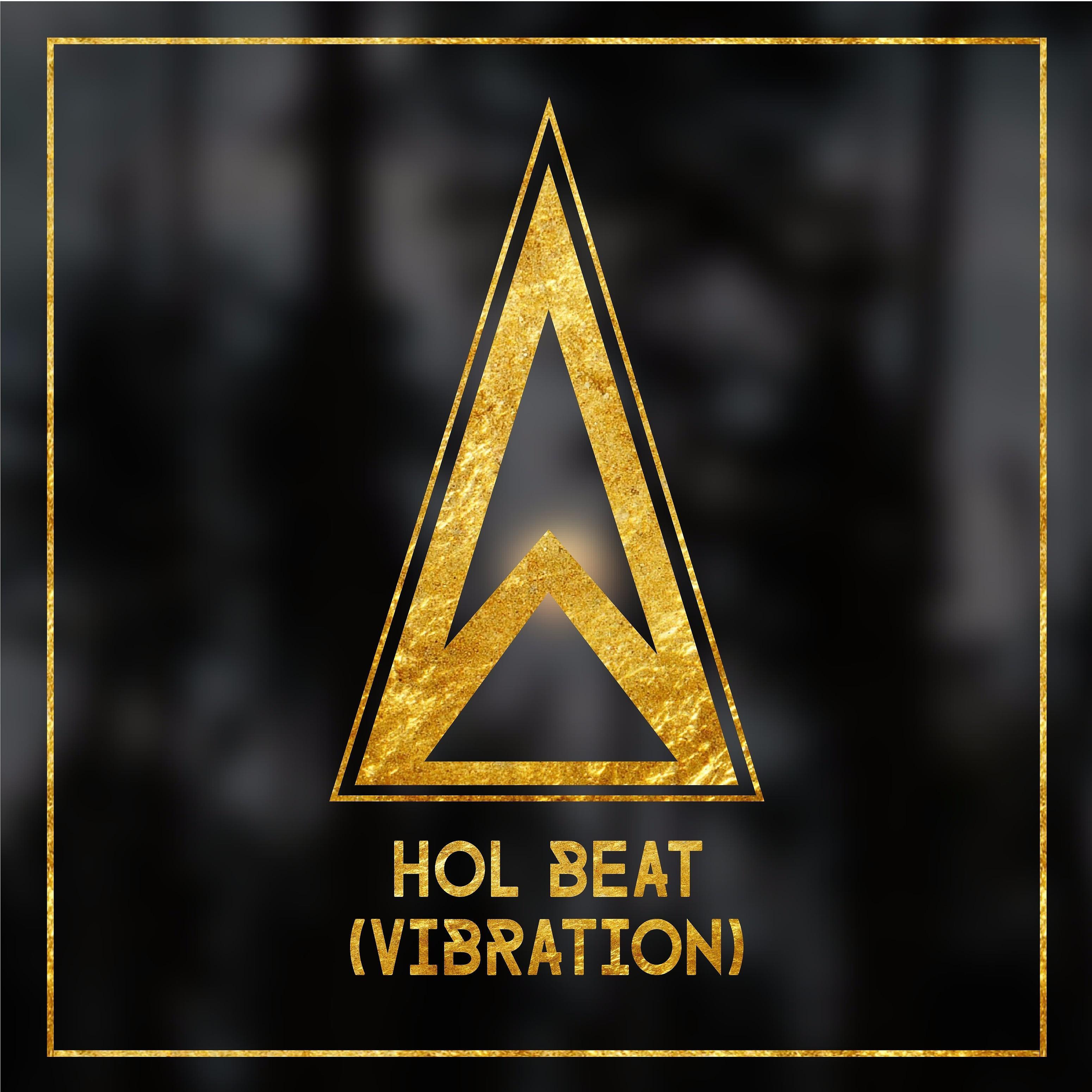 Постер альбома Hol Beat (Vibration)