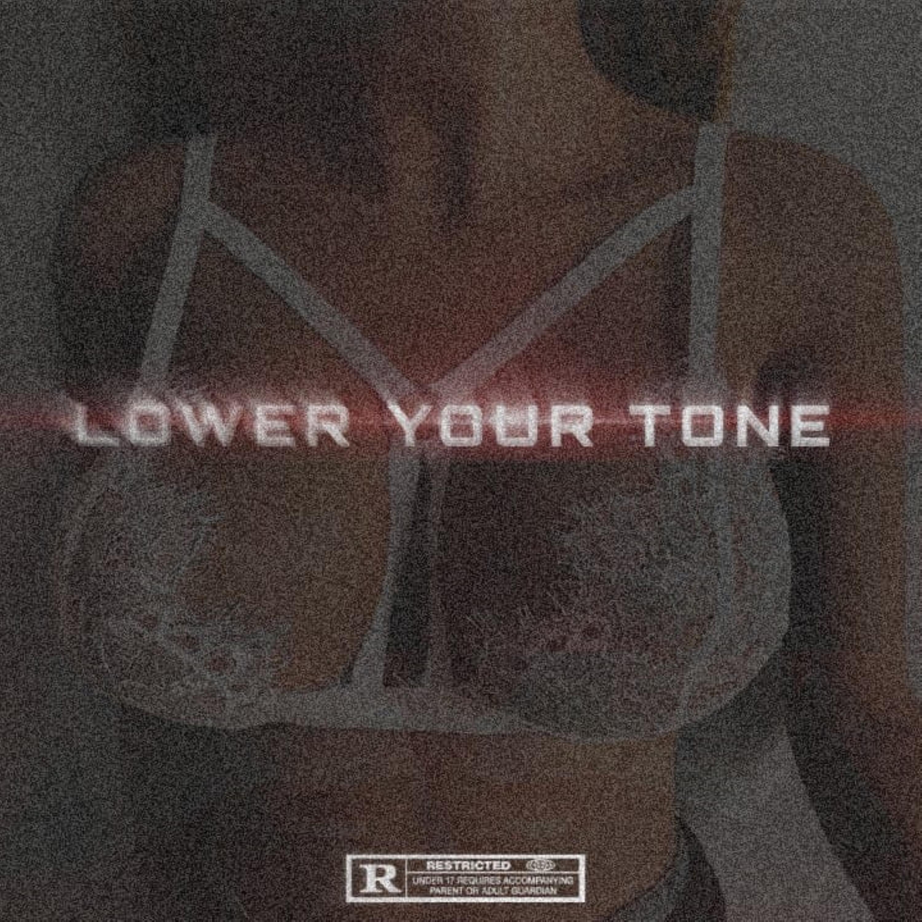 Постер альбома Lower Your Tone