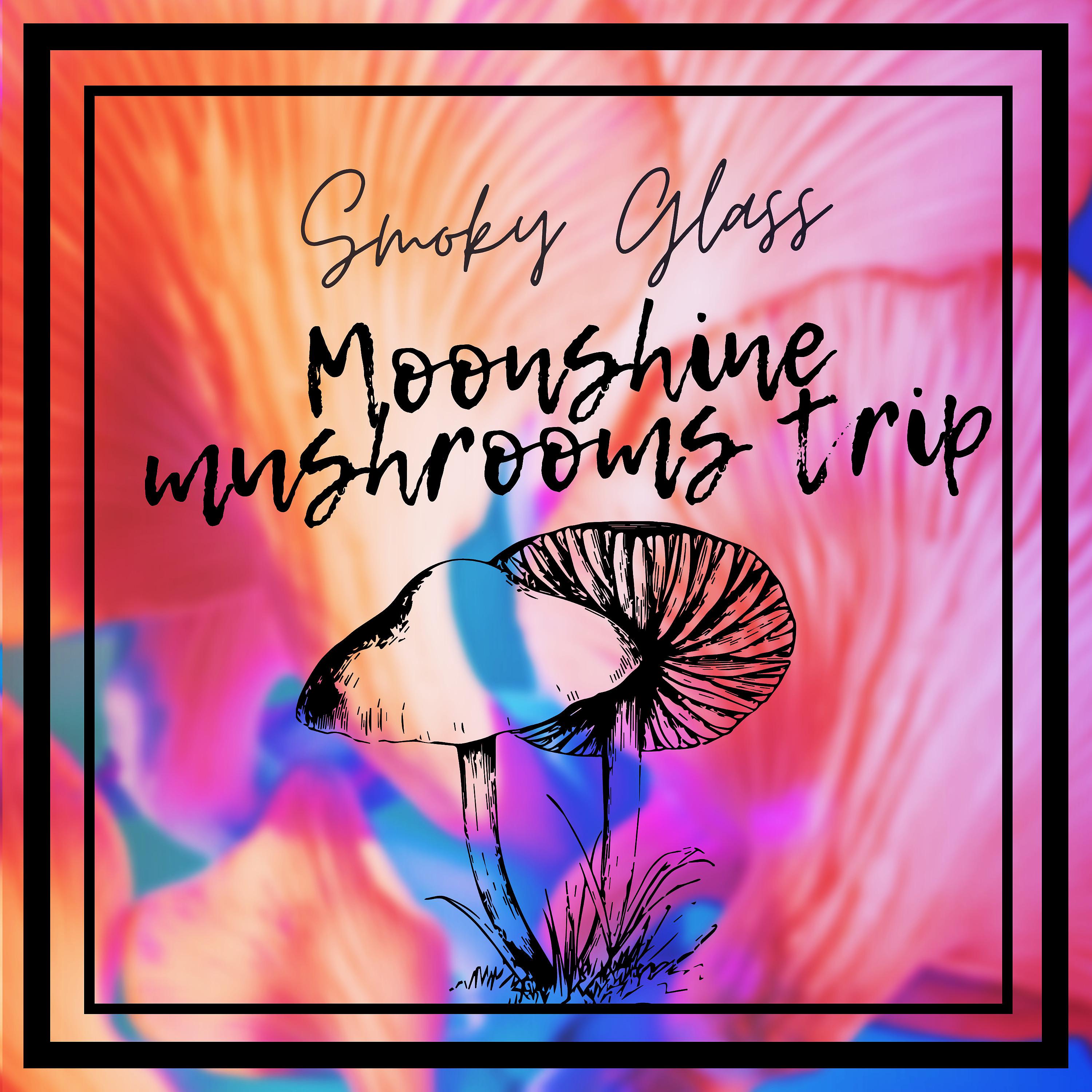 Постер альбома Moonshine Mushroms Trip