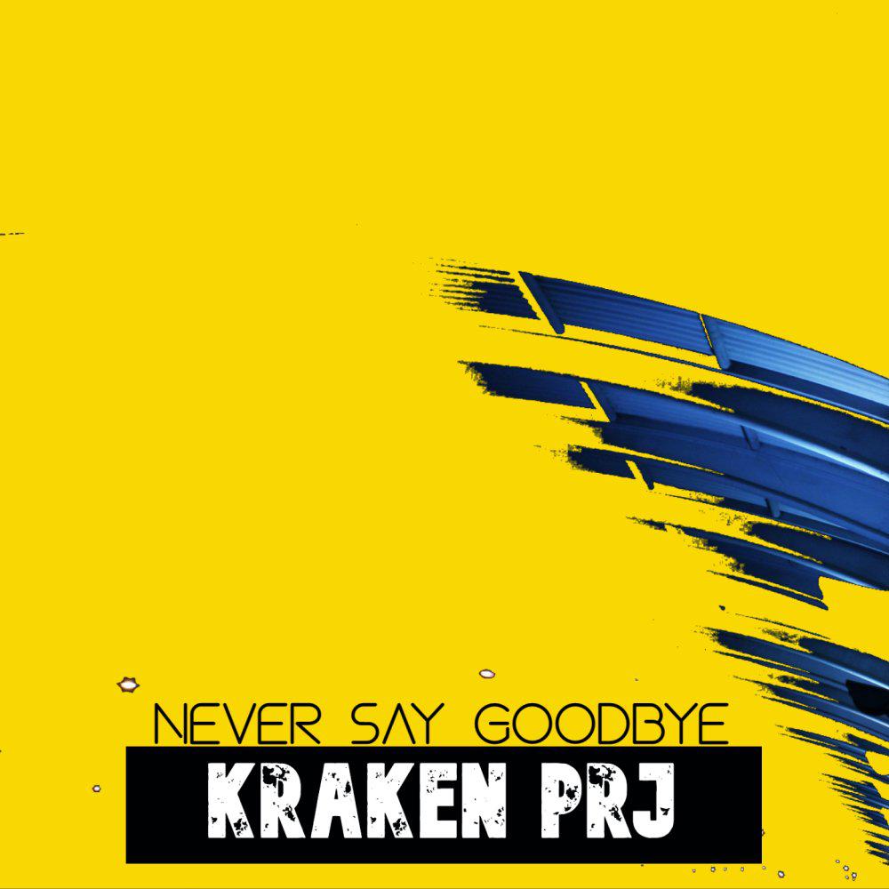 Постер альбома Never say Goodbye