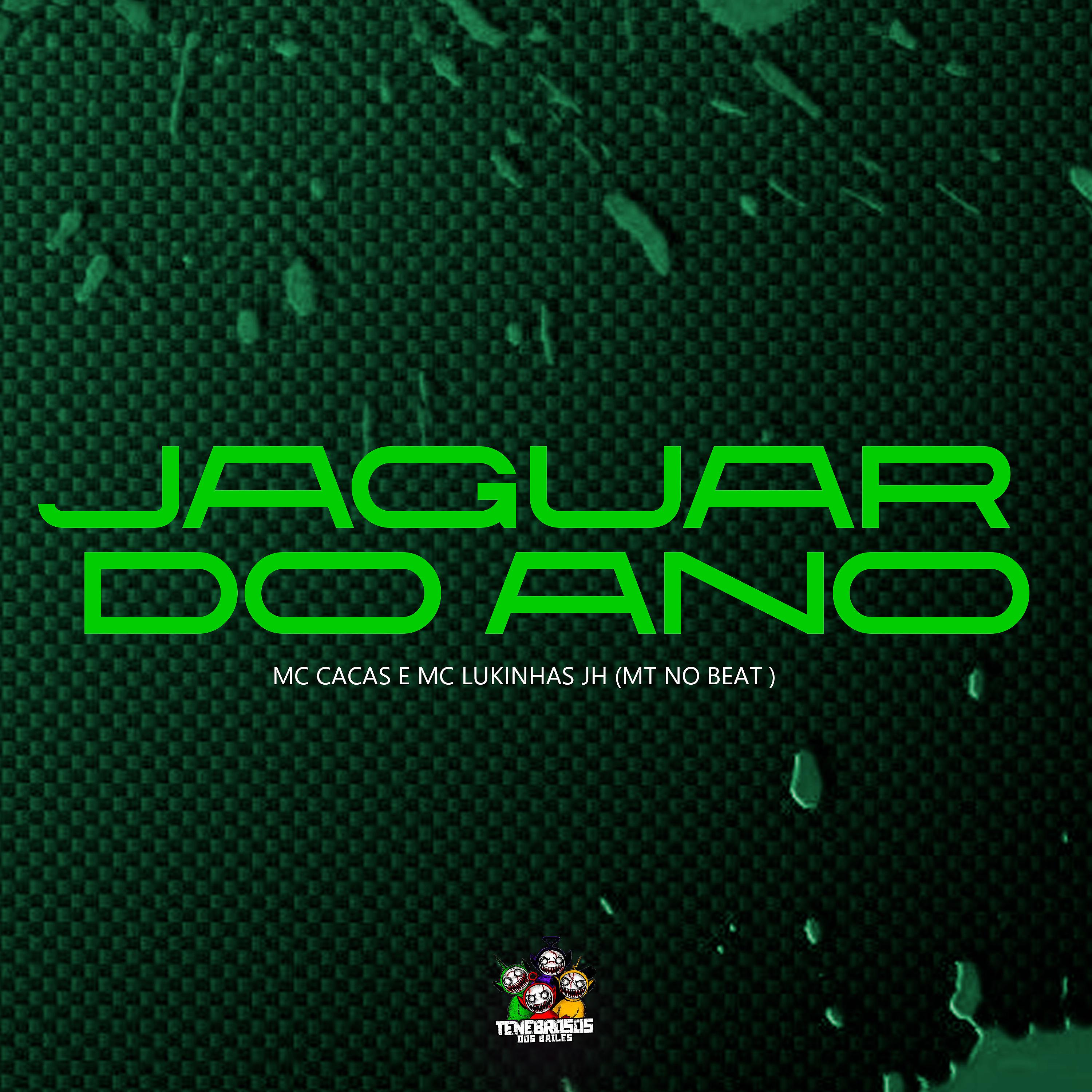 Постер альбома Jaguar do Ano