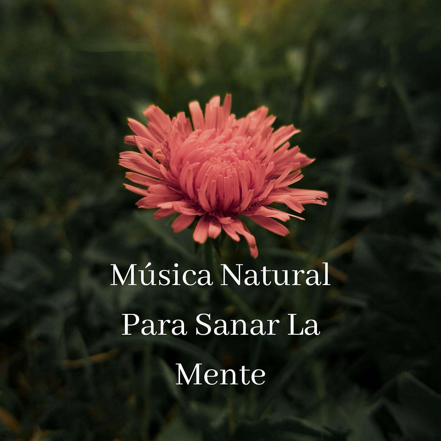 Постер альбома Música Natural Para Sanar La Mente