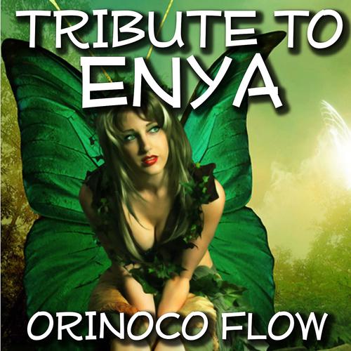 Постер альбома Orinoco Flow