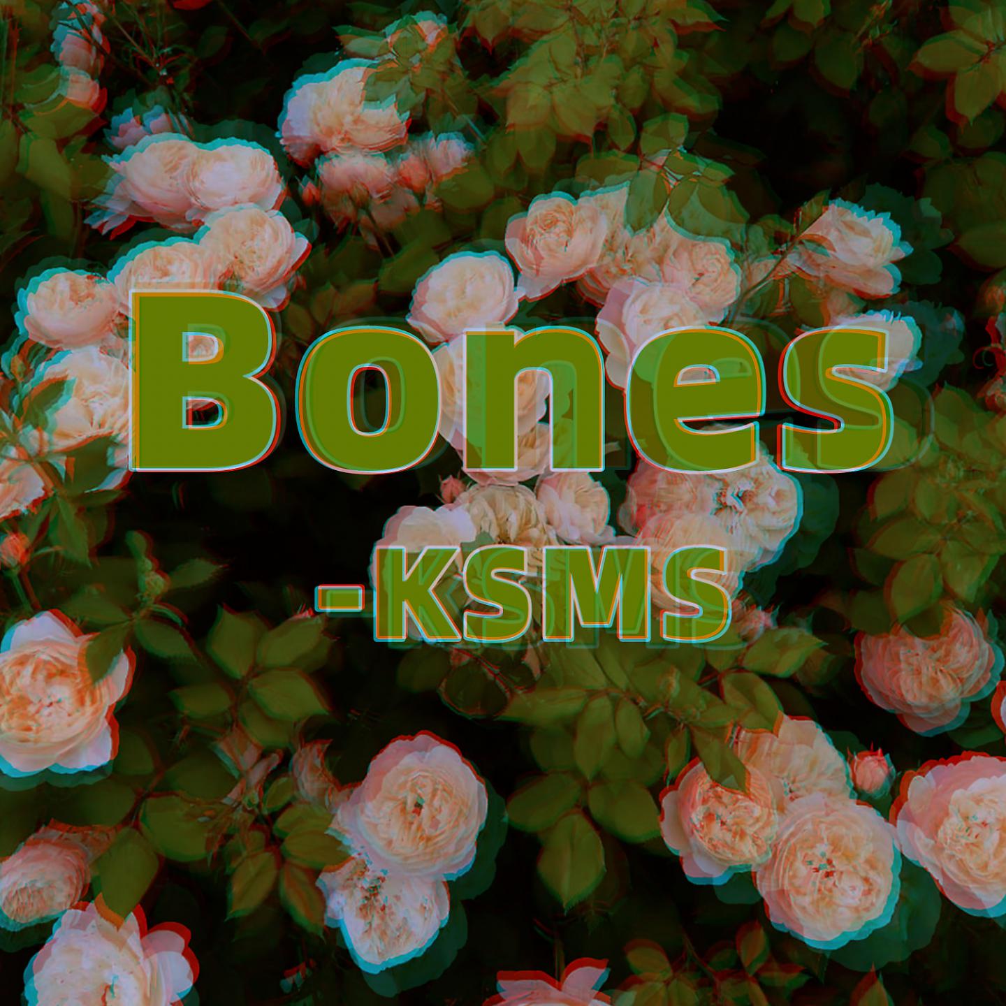 Постер альбома Bones