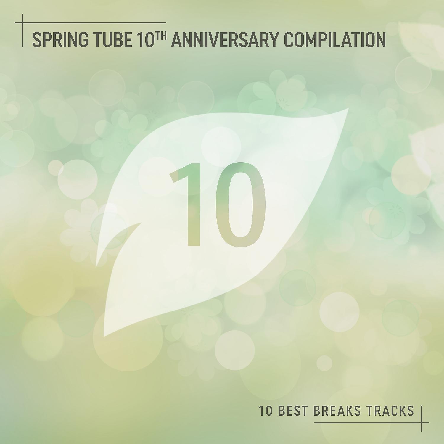 Постер альбома Spring Tube 10th Anniversary Compilation: 10 Best Breaks Tracks