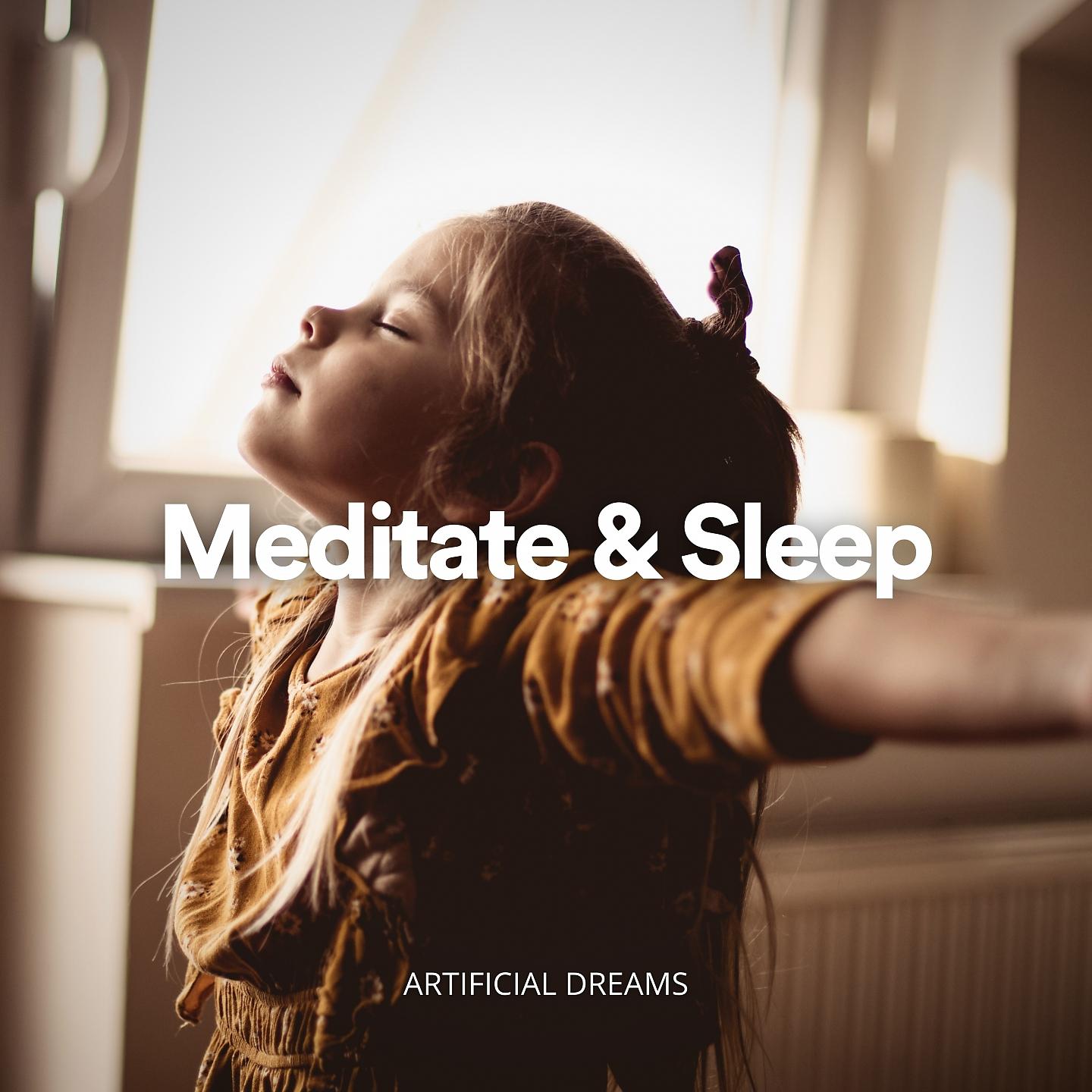 Постер альбома Meditate & Sleep