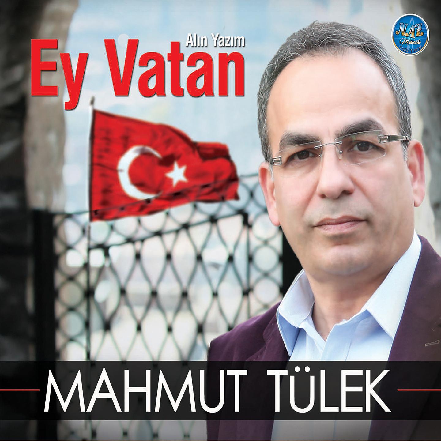 Постер альбома Alın Yazım Ey Vatan