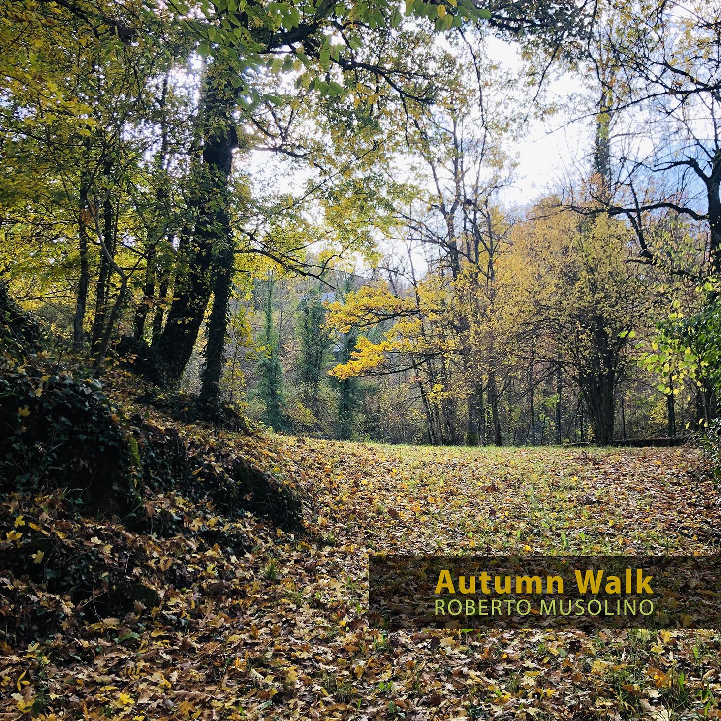 Постер альбома Autumn walk