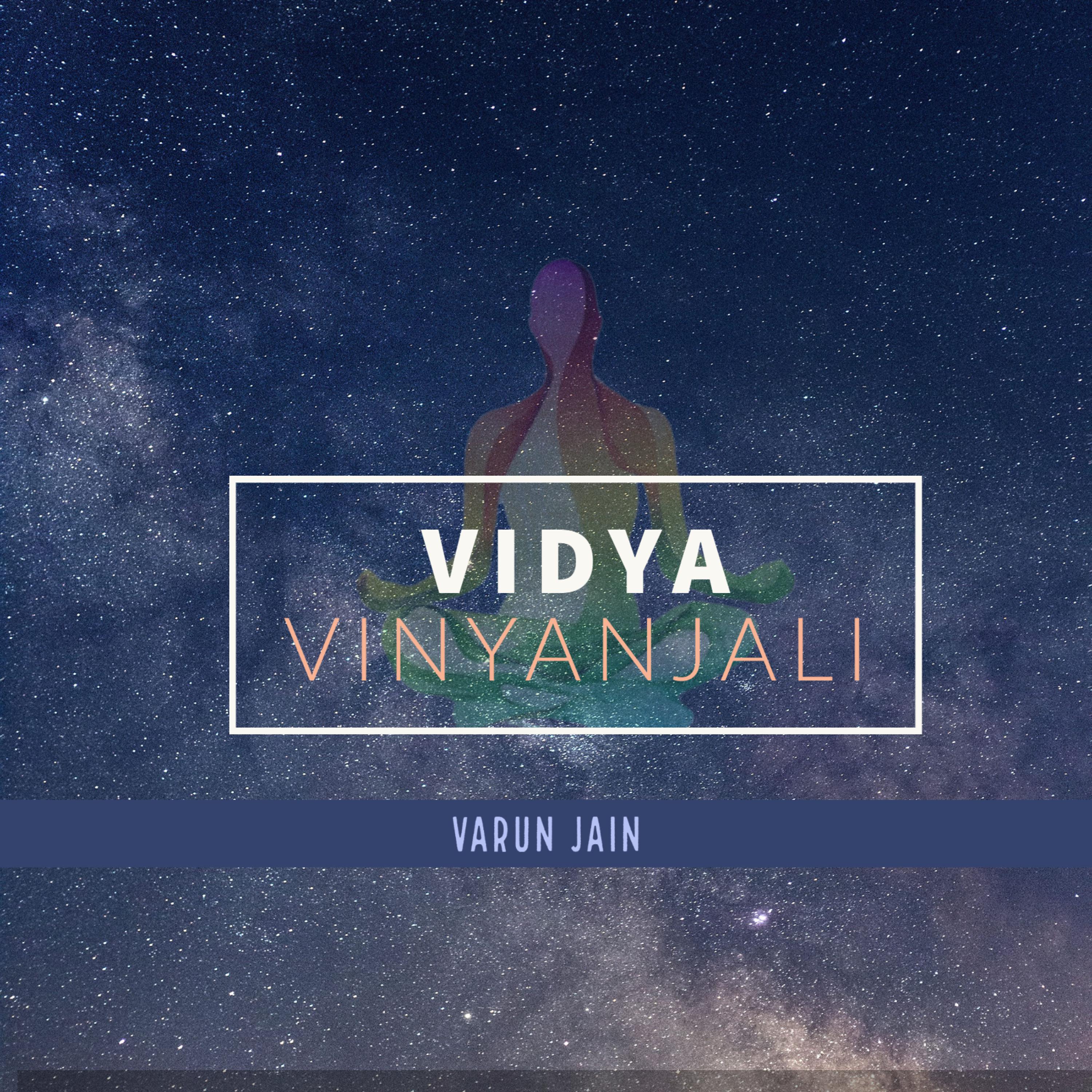 Постер альбома Vidya Vinyanjali