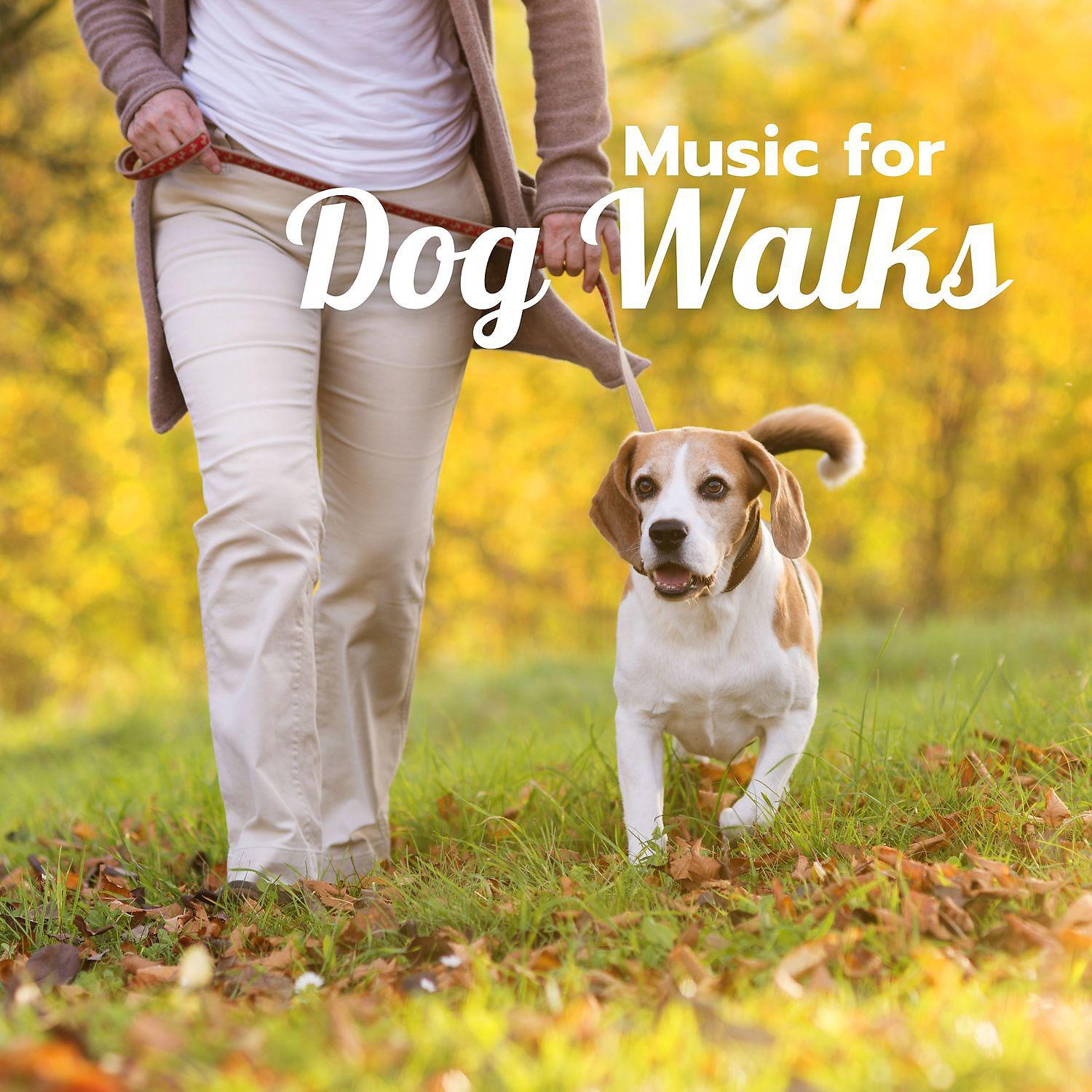 Постер альбома Music for Dog Walks