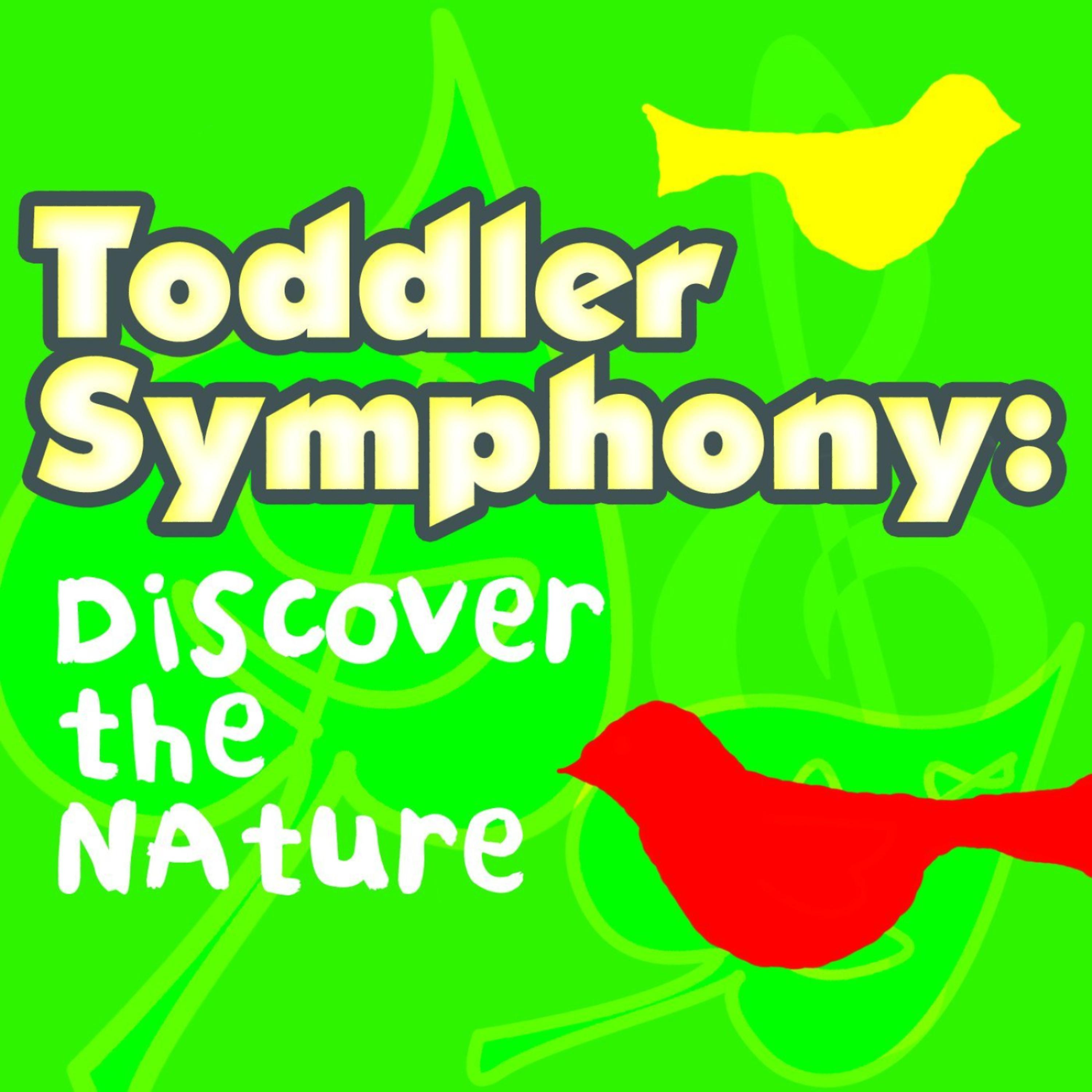 Постер альбома Toddler Symphony: Discover the Nature