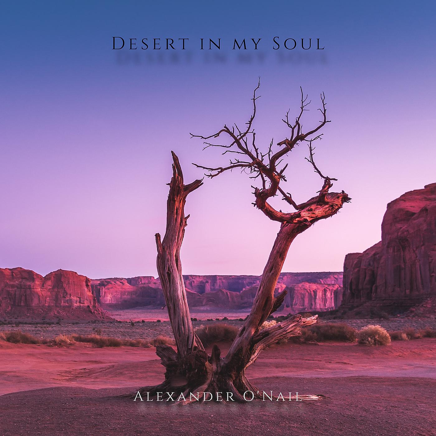 Постер альбома Desert in My Soul