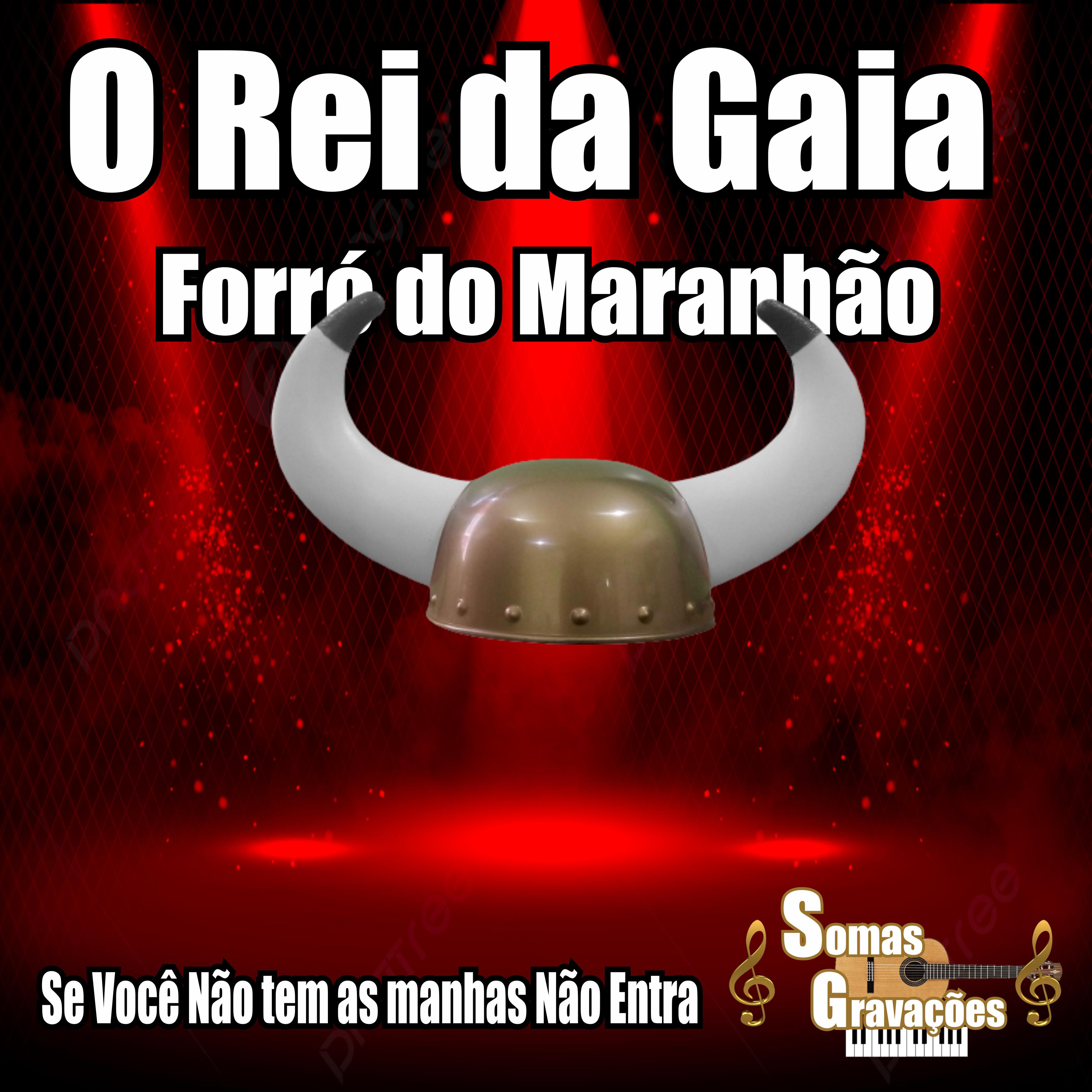 Постер альбома Se Você Não Tem as Manhas Não Entra