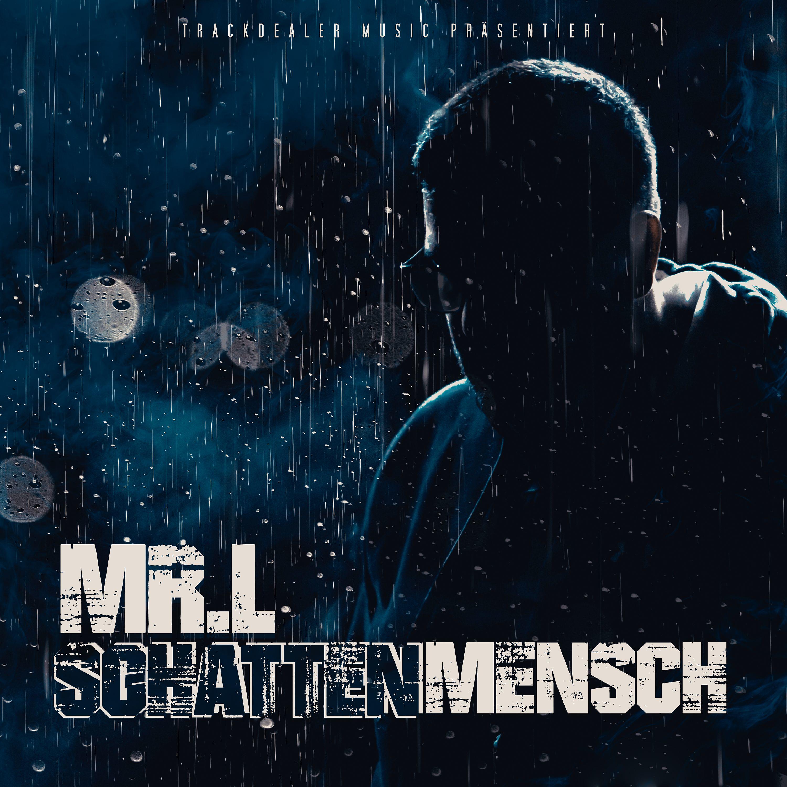 Постер альбома Schattenmensch