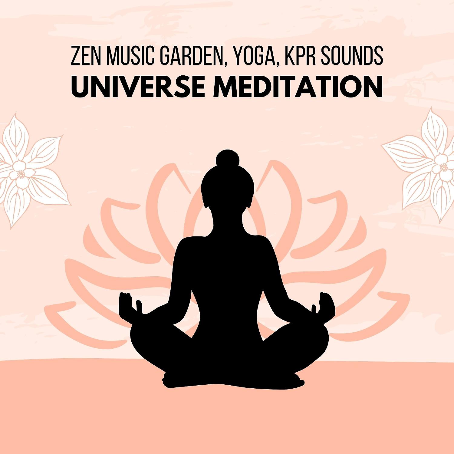 Постер альбома Universe Meditation