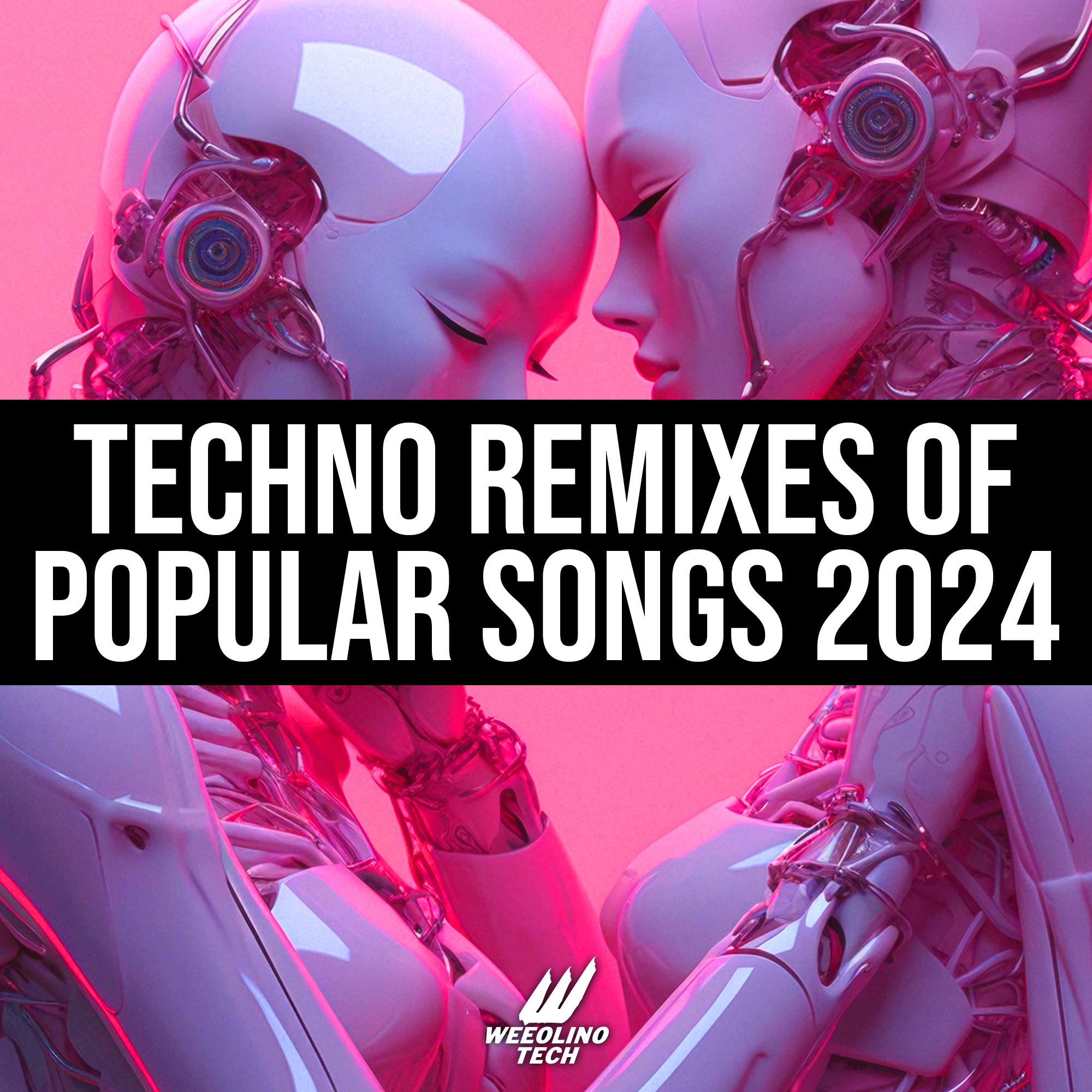 Постер альбома Techno Remixes of Popular Songs 2024