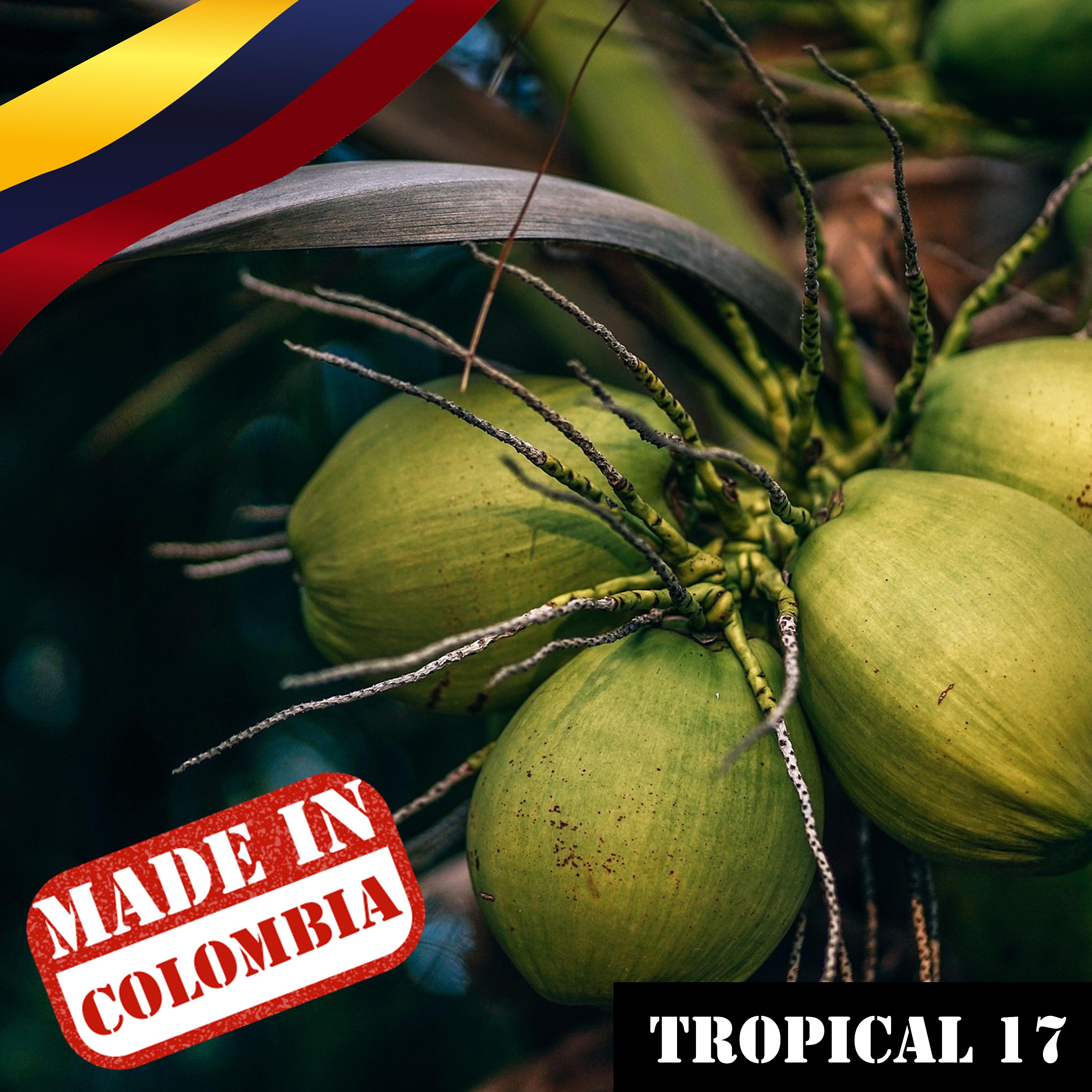 Постер альбома Made In Colombia: Tropical, Vol. 17