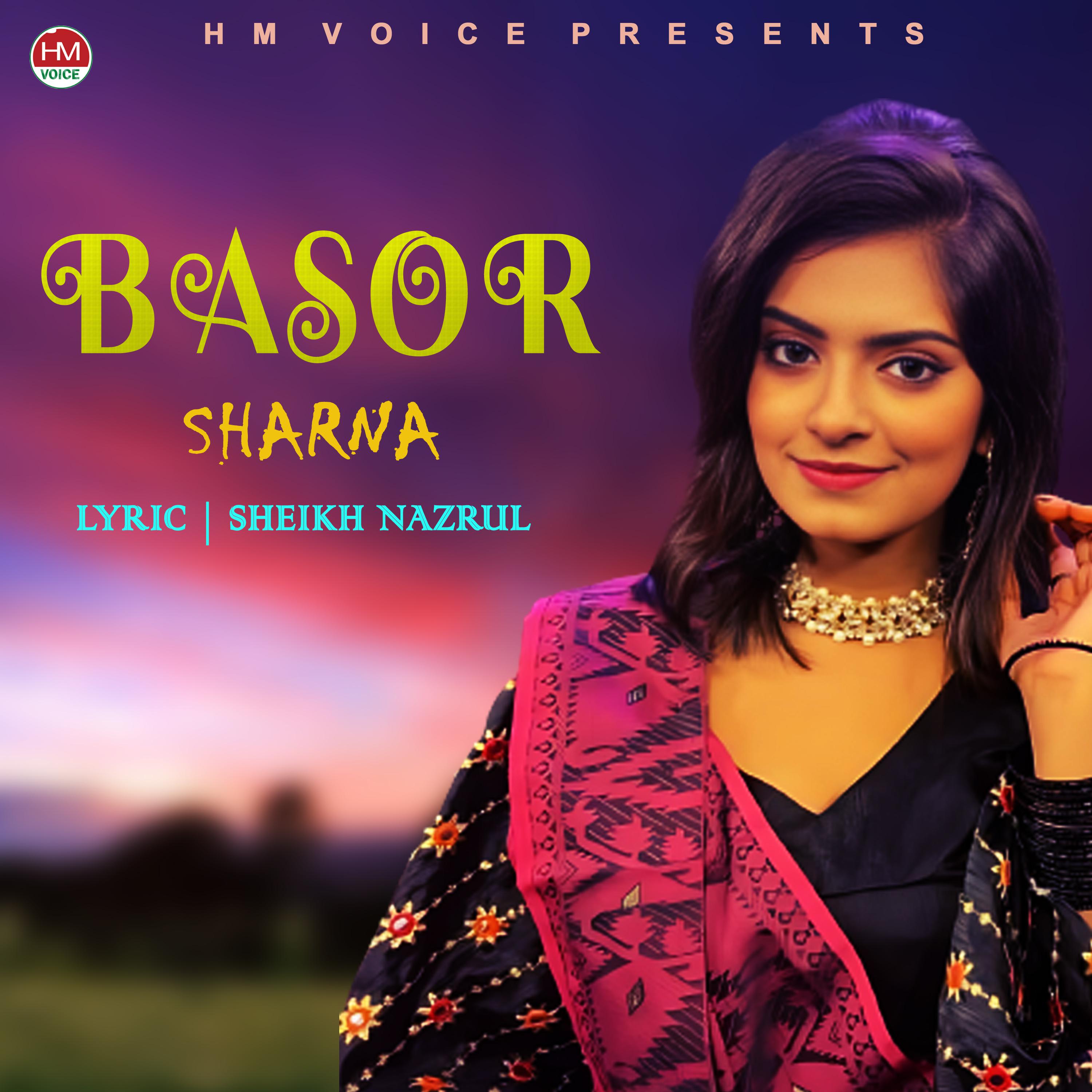 Постер альбома Basor